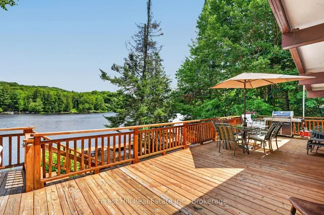 1355 Bellwood Acres Rd, Lake of Bays 3