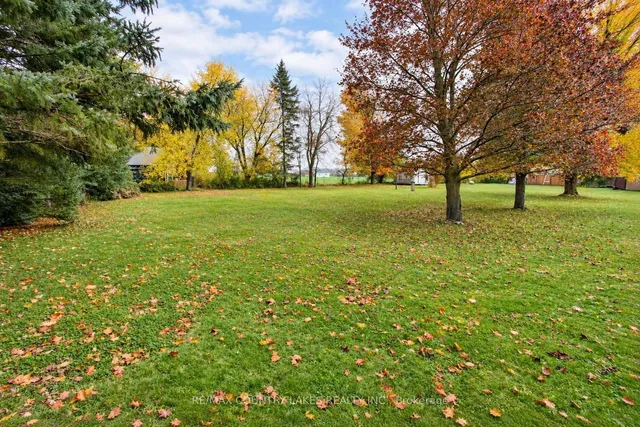 1598 County Rd 46, Kawartha Lakes 3