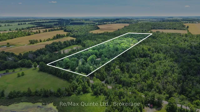 35 Concession Road 11 Rd, Trent Hills 4