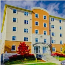 history photo preview