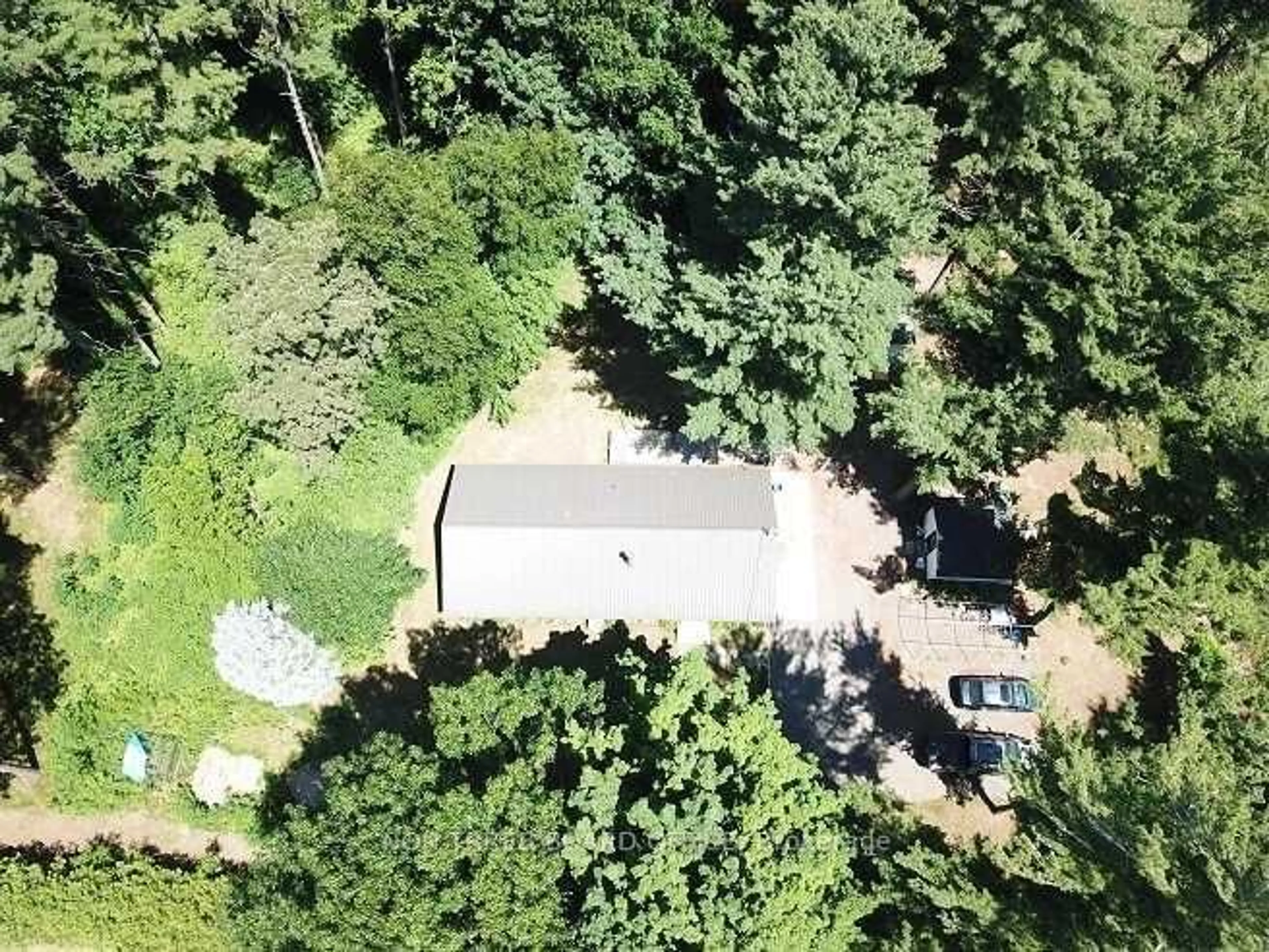 A pic from outside/outdoor area/front of a property/back of a property/a pic from drone, forest/trees view for 77 Cultus Rd, Norfolk Ontario N0E 1C0