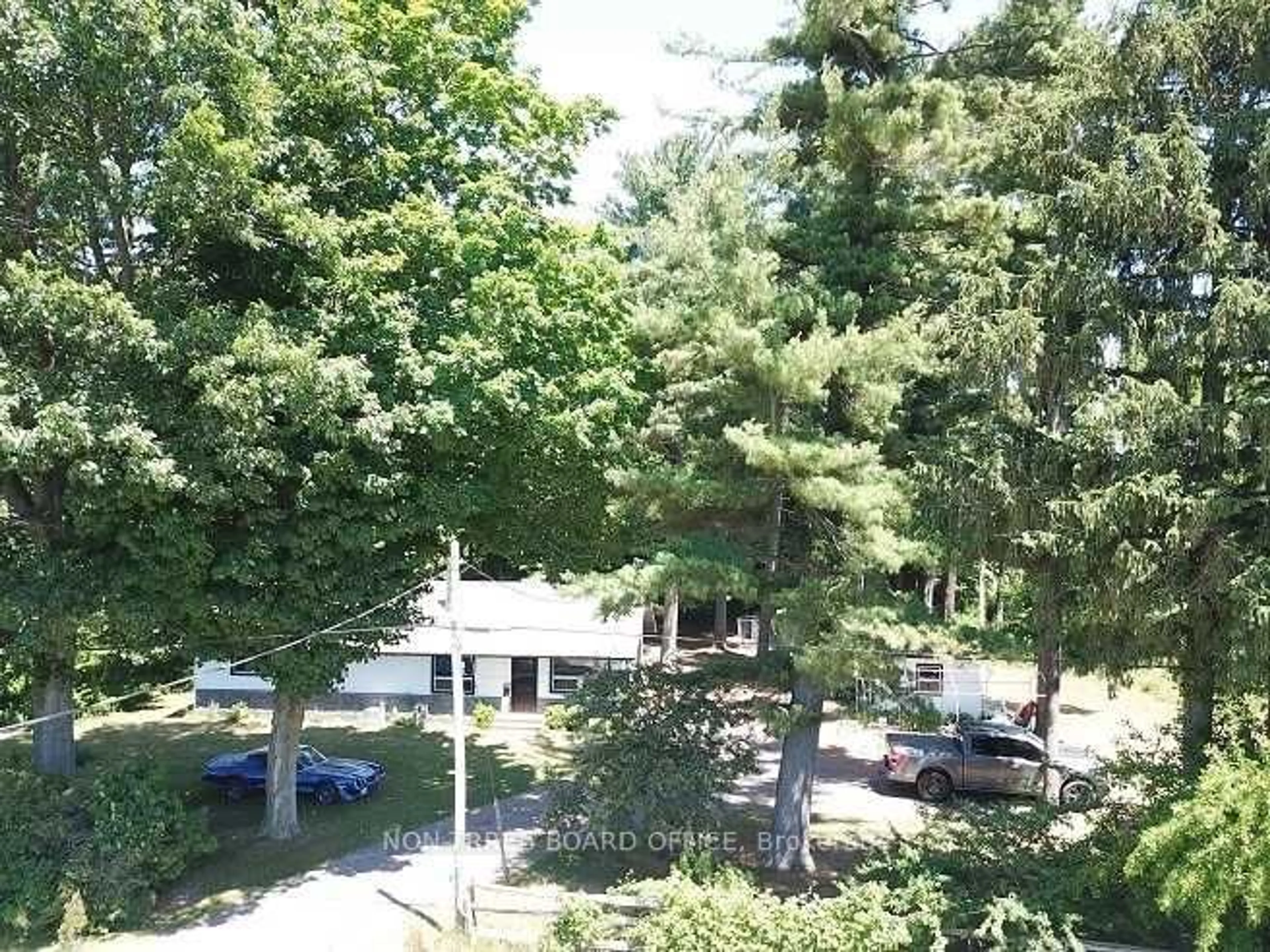 A pic from outside/outdoor area/front of a property/back of a property/a pic from drone, forest/trees view for 77 Cultus Rd, Norfolk Ontario N0E 1C0