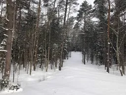 history photo preview