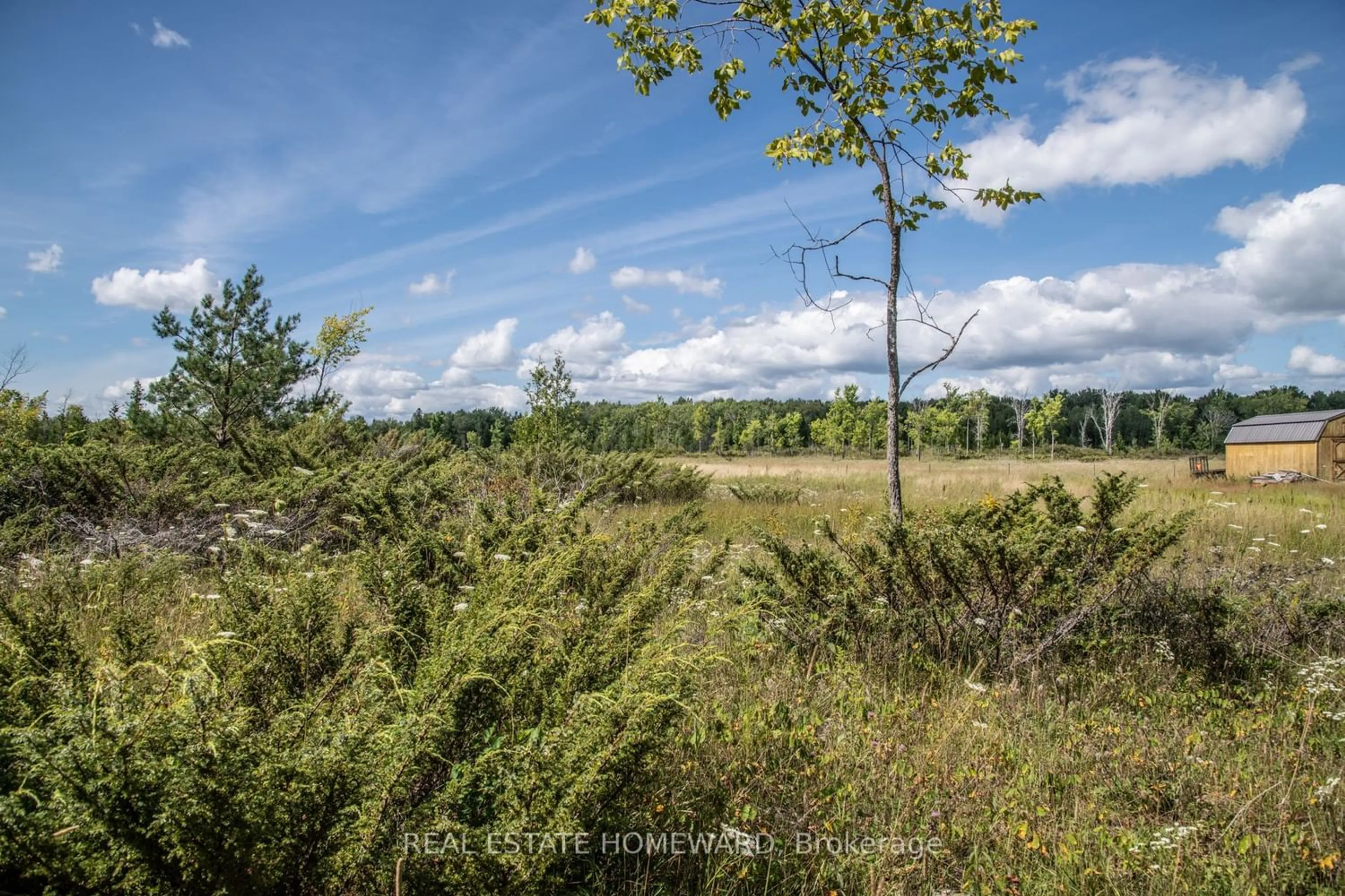 Unknown for LOT 250 McGuire Beach Rd, Kawartha Lakes Ontario K0M 2B0