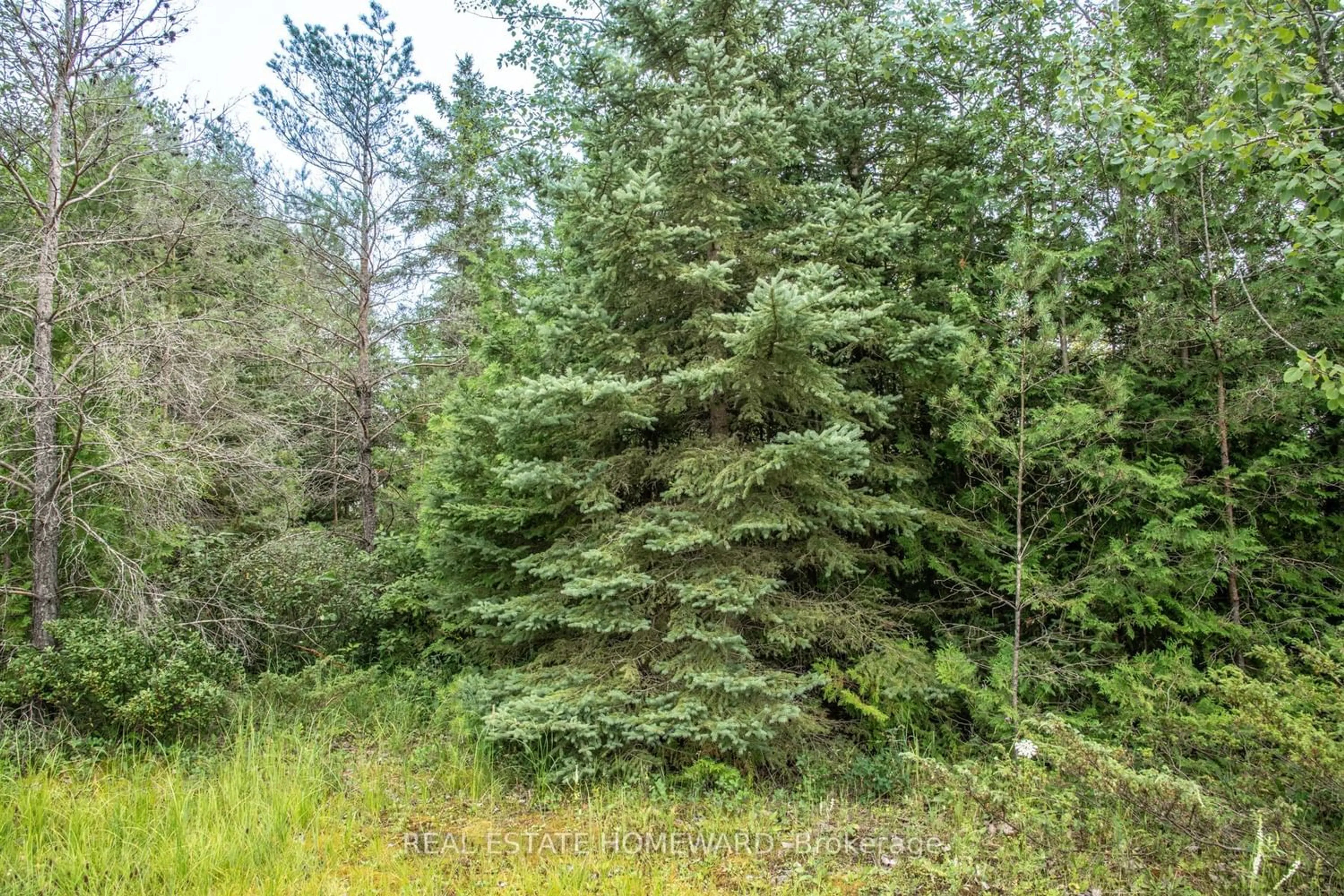 Shed for LOT 250 McGuire Beach Rd, Kawartha Lakes Ontario K0M 2B0
