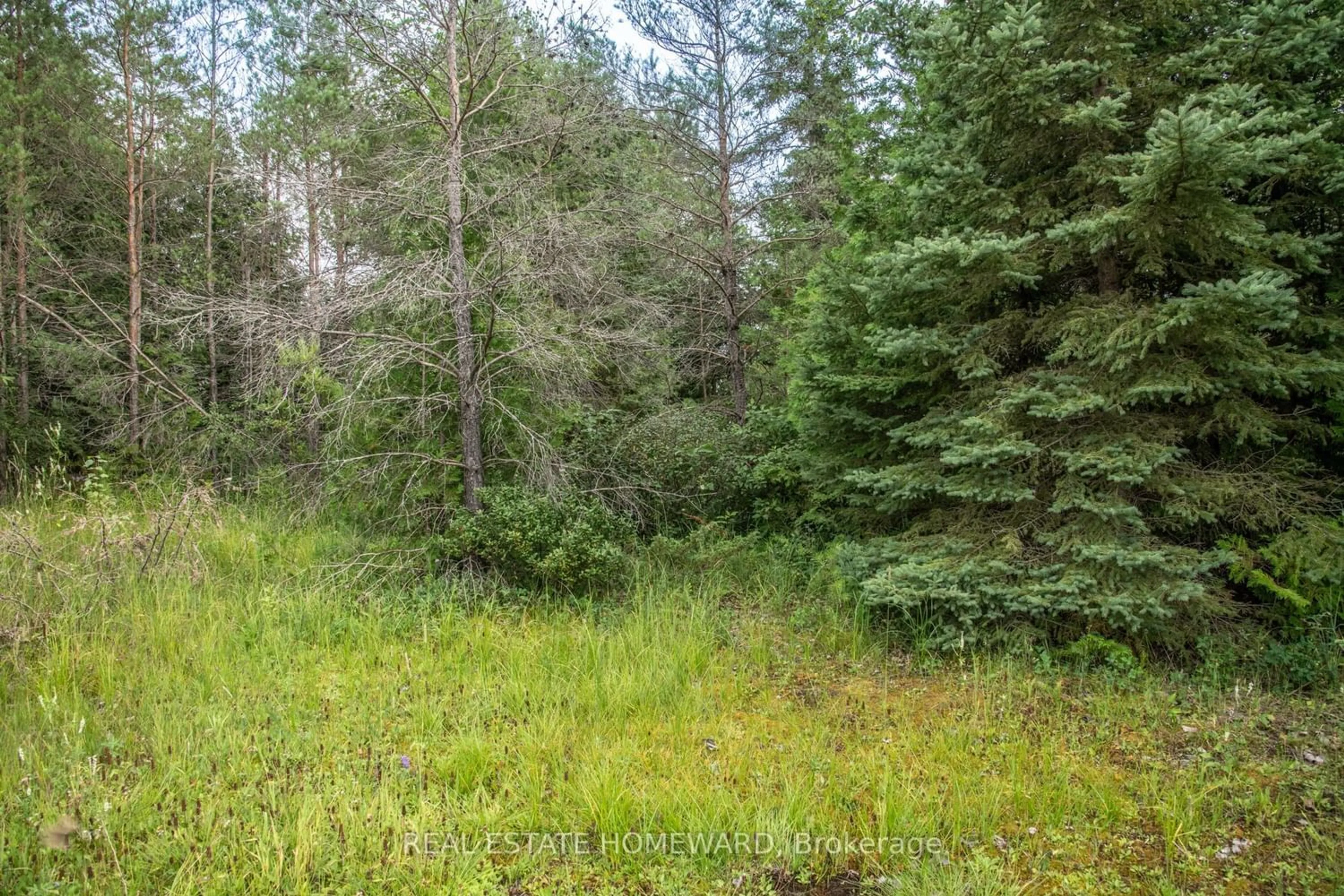 Other indoor space, unknown floor for LOT 250 McGuire Beach Rd, Kawartha Lakes Ontario K0M 2B0