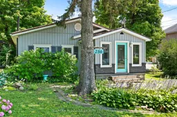 history photo preview