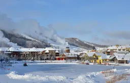 history photo preview