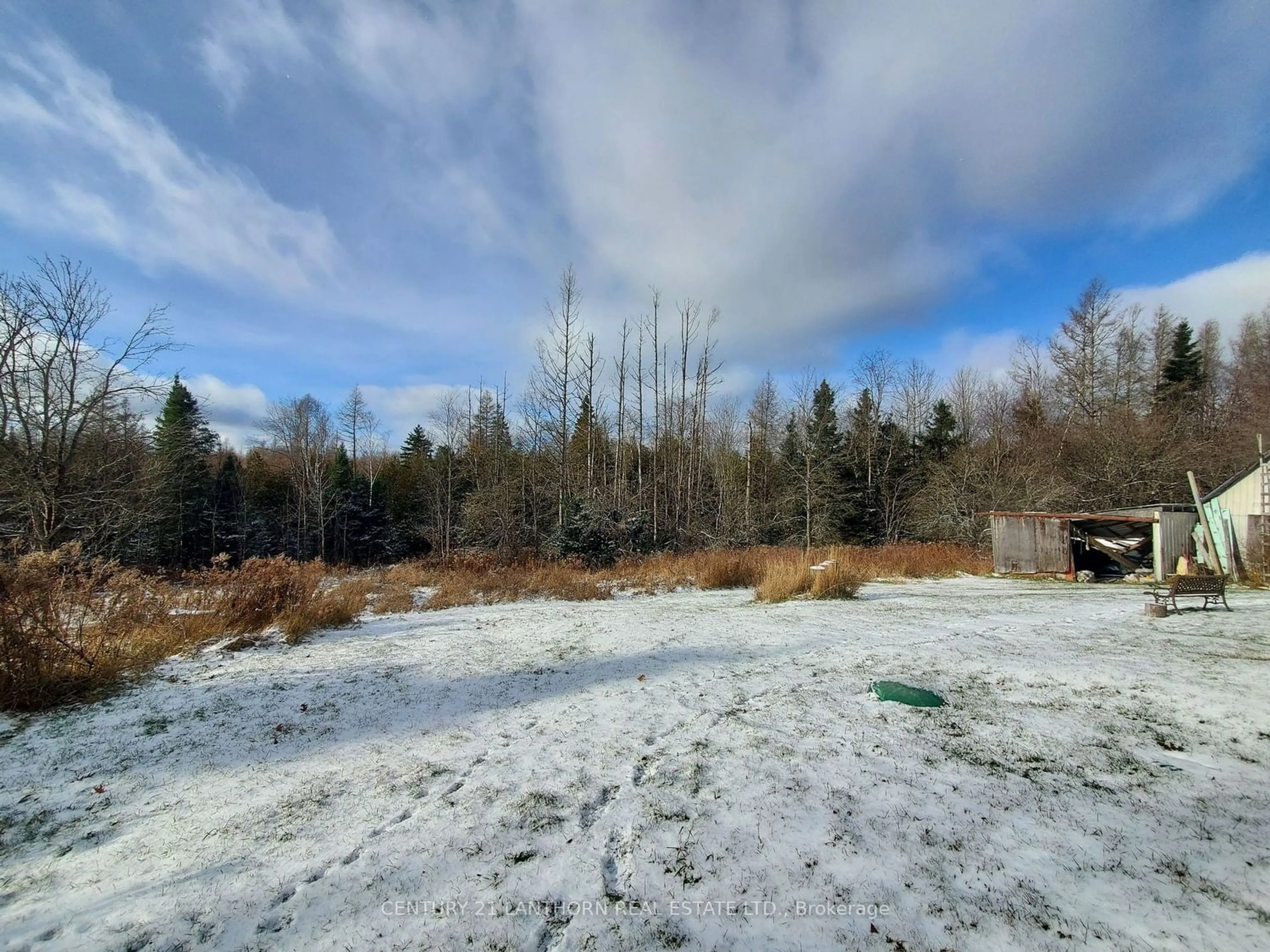 Forest view for 550 Pine View Ridge Rd, Tudor & Cashel Ontario K0L 1W0