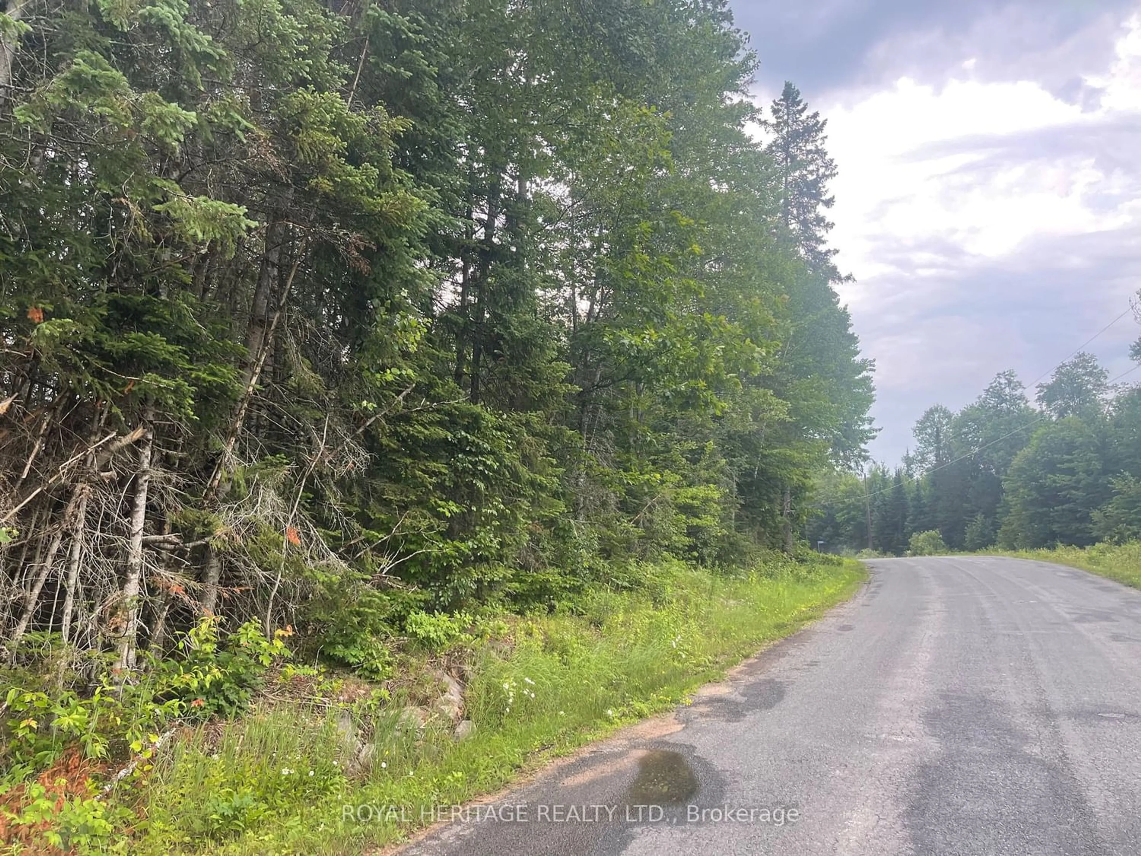 Forest view for 1104 Lot 4- Hadlington Rd, Highlands East Ontario K0L 2Y0