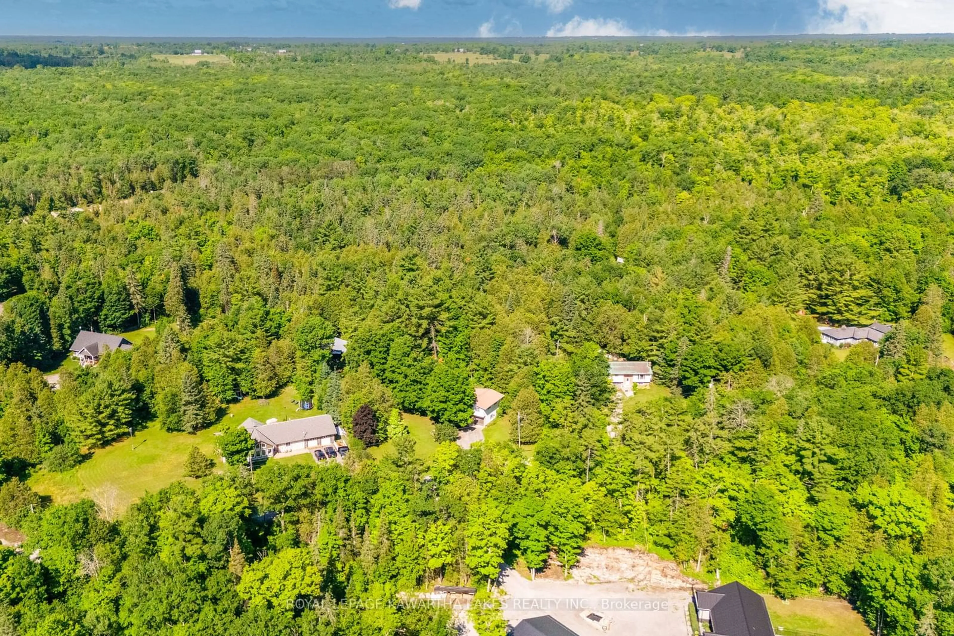 Forest view for 19 Bessie Ave, Kawartha Lakes Ontario K0M 1A0