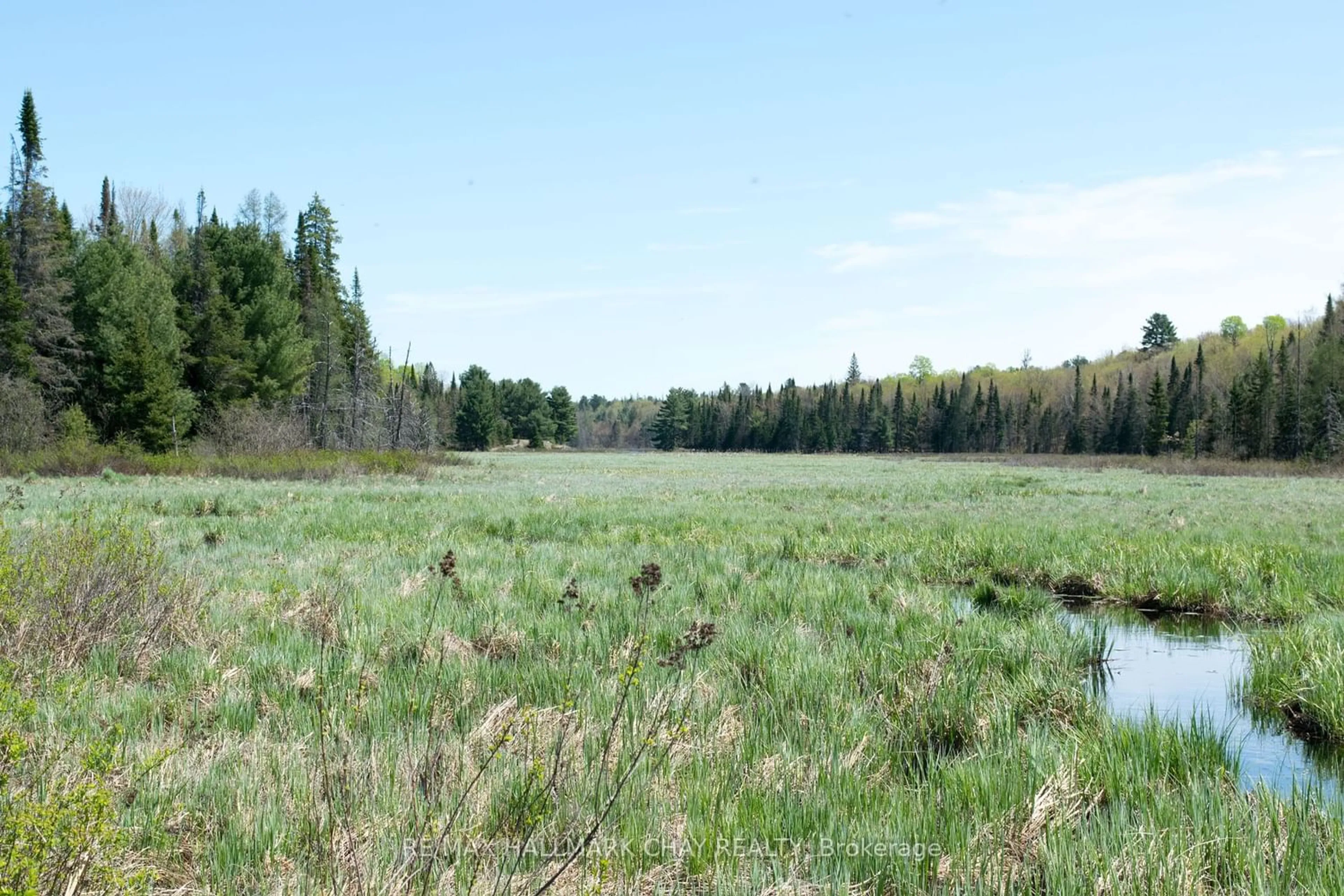 Forest view for 1800 Bear Cave Rd, Muskoka Lakes Ontario P0C 1J0