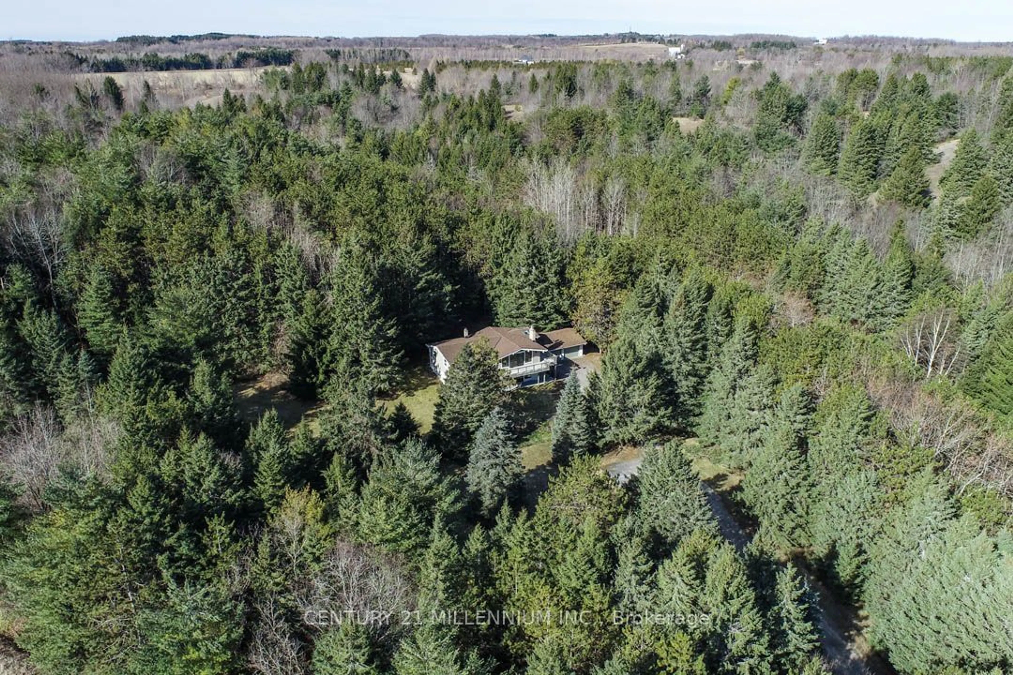Forest view for 953096 7th Line Ehs, Mono Ontario L9W 2Z2