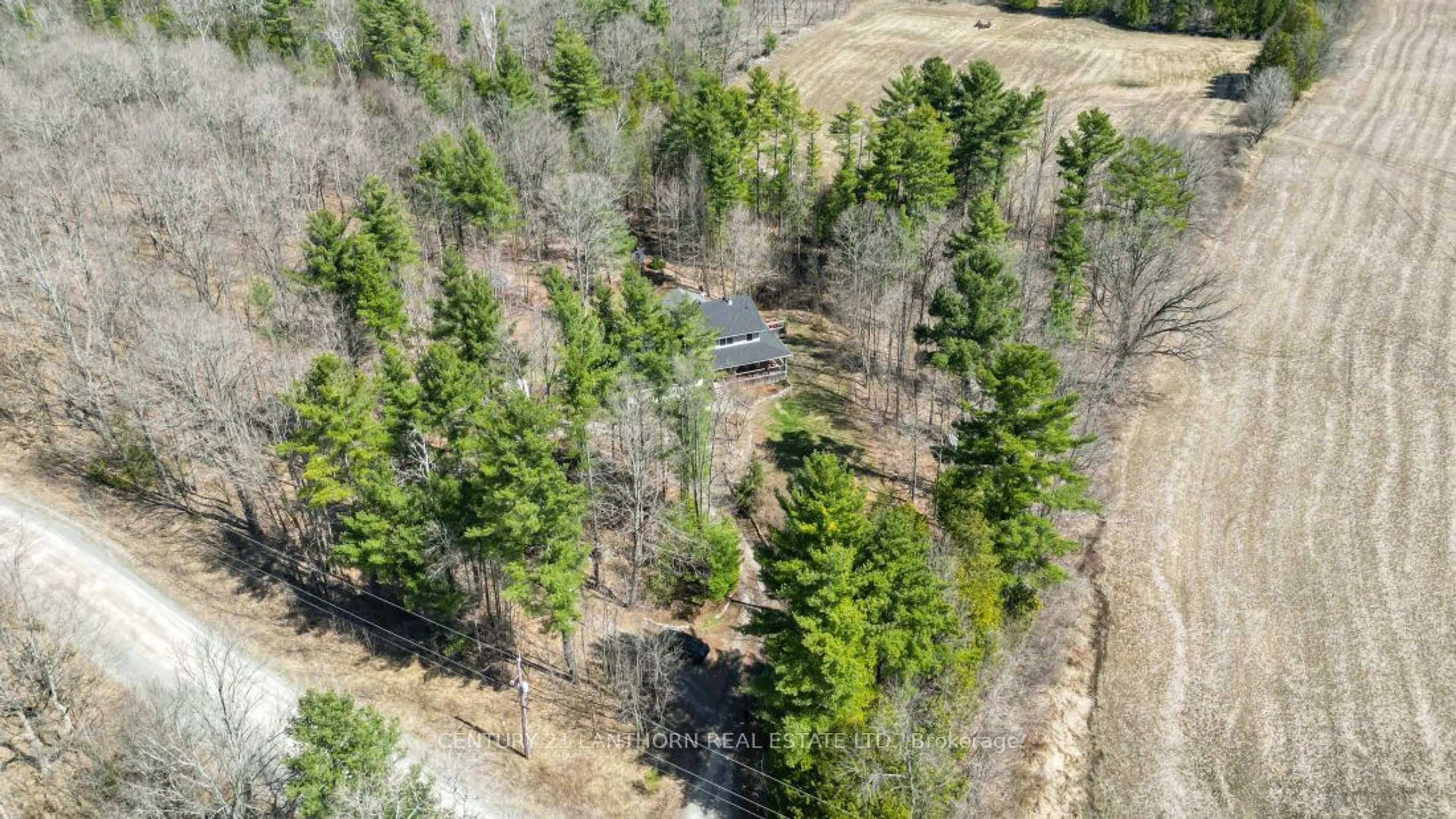 Forest view for 66 Johnston Rd, Madoc Ontario K0K 2K0