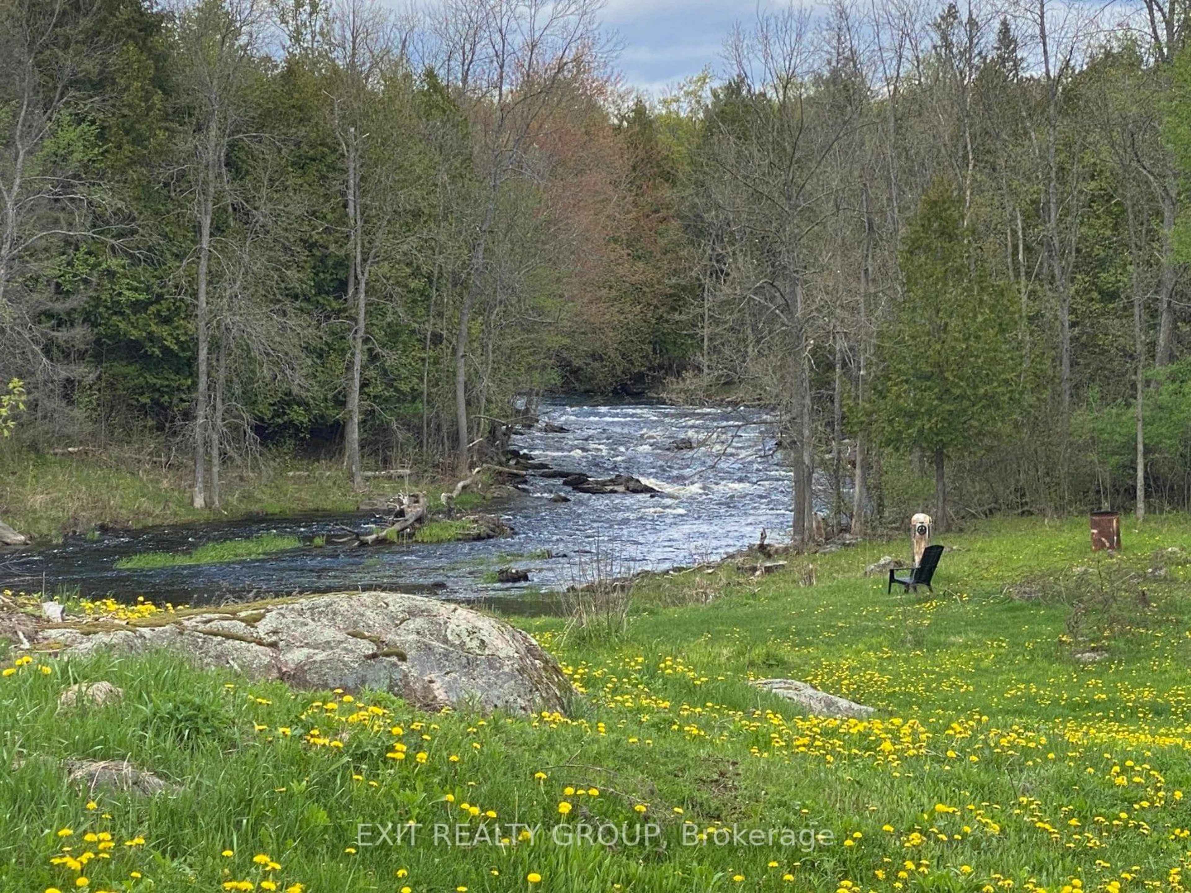 Forest view for 65 Malone Quarry Rd, Marmora and Lake Ontario K0K 2M0