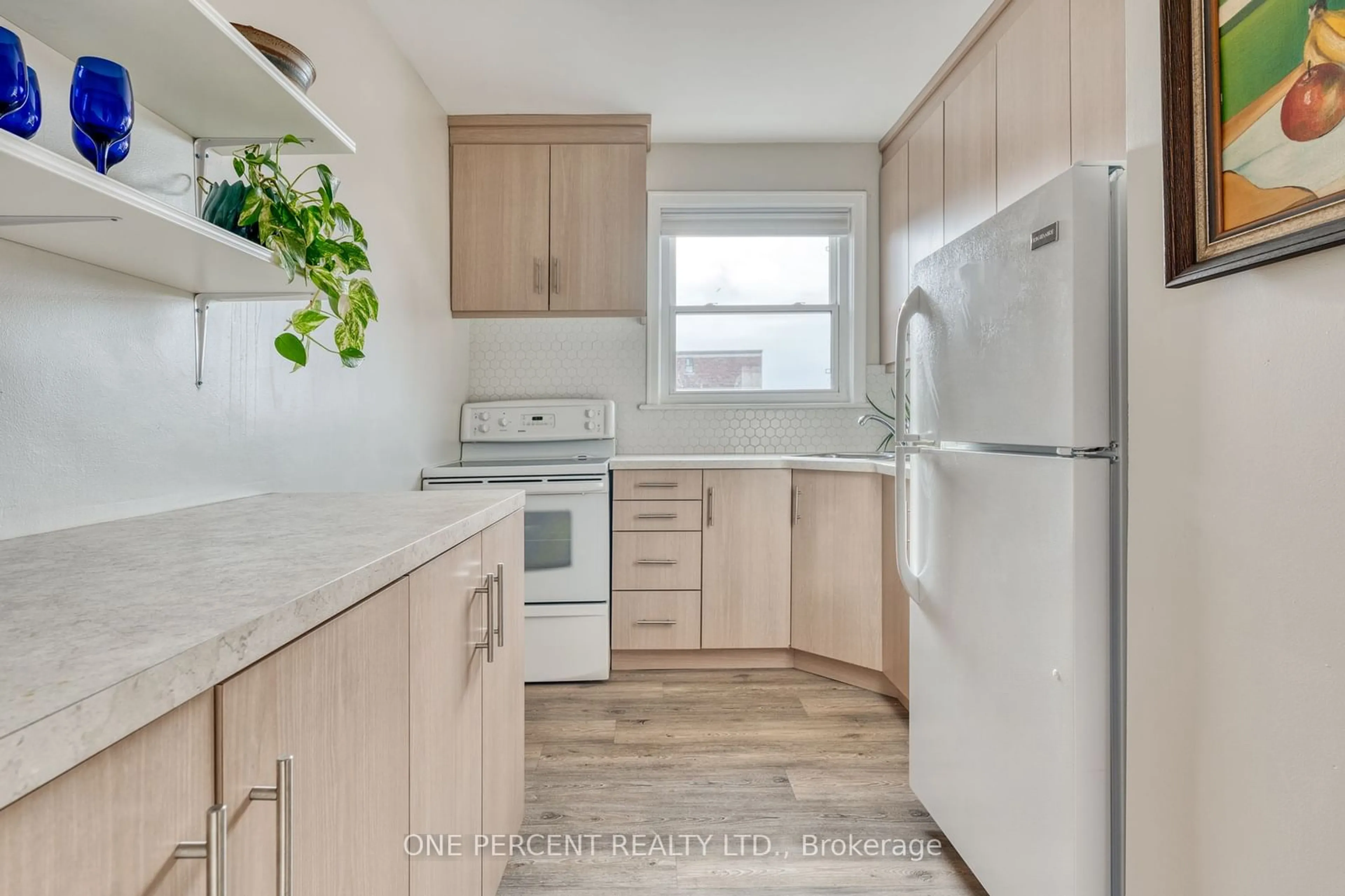 Standard kitchen for 5 East 36th St #410B, Hamilton Ontario L8V 3Y6