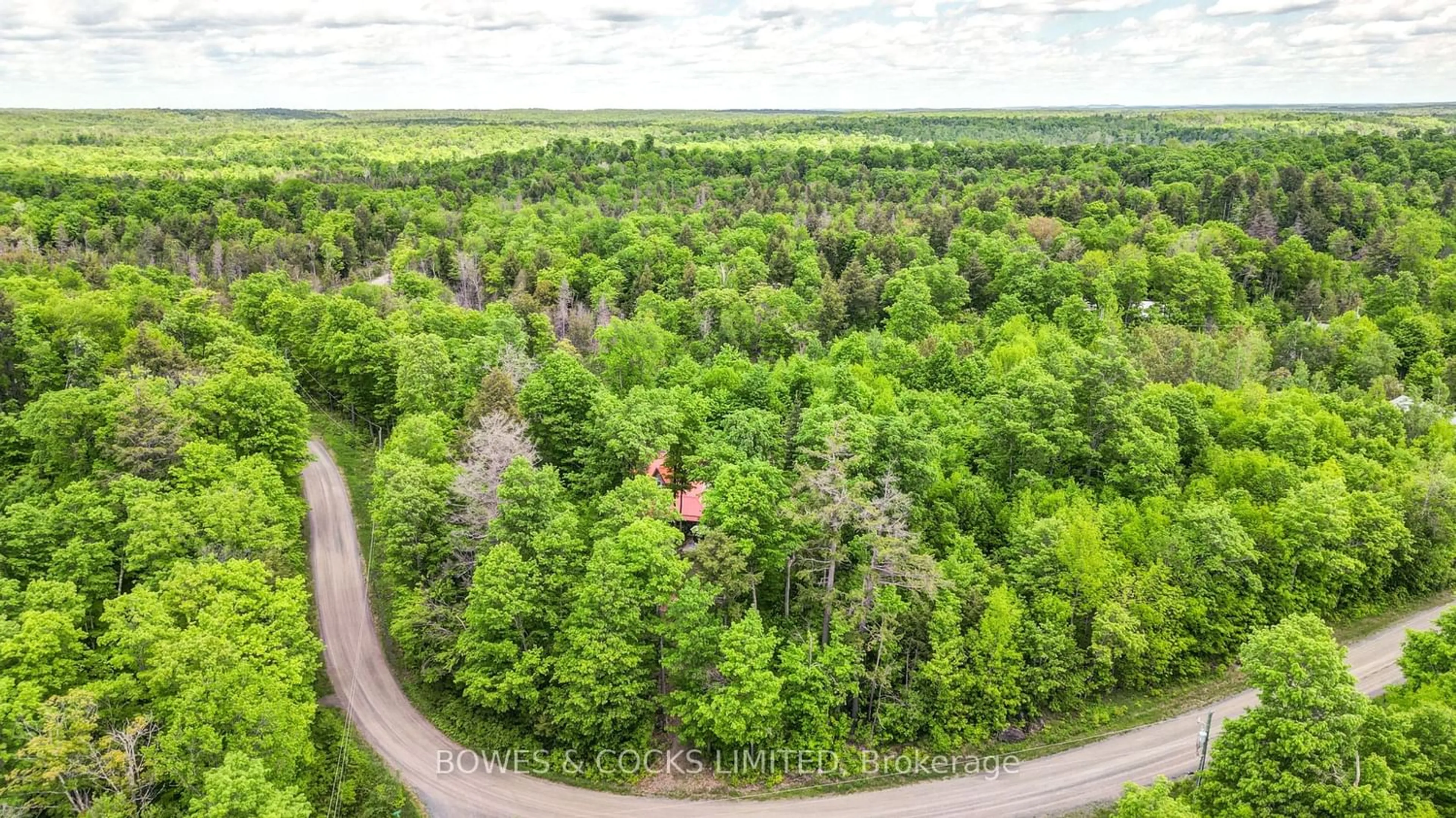 Forest view for 121 Fish Hook Lane, Marmora and Lake Ontario K0L 1W0