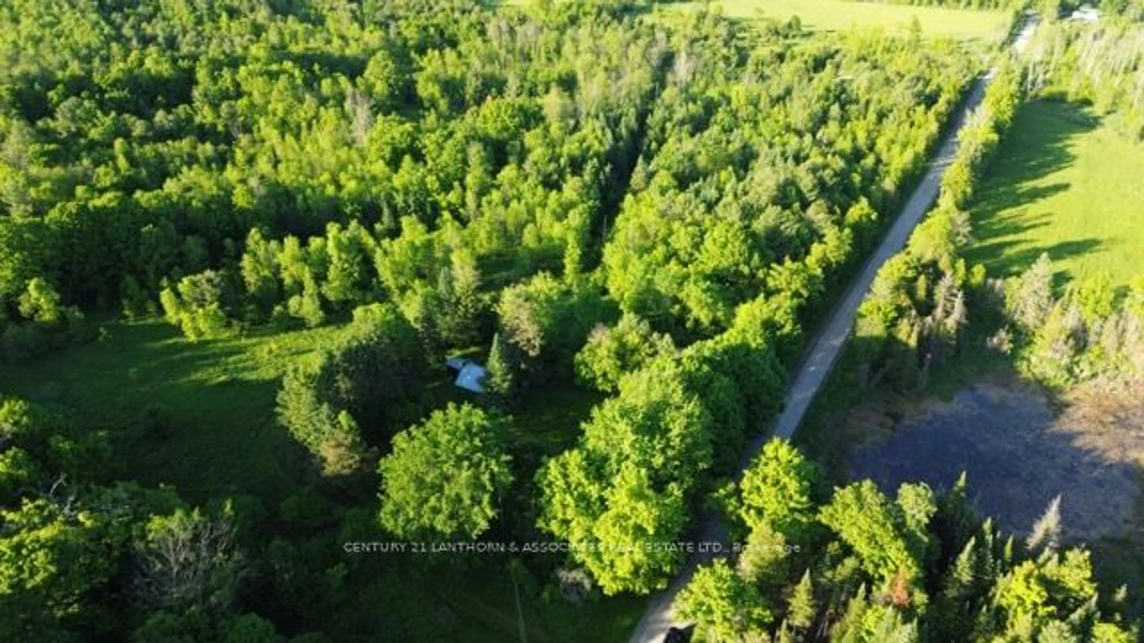 Forest view for 118 Storms Rd, Stirling-Rawdon Ontario K0K 2M0