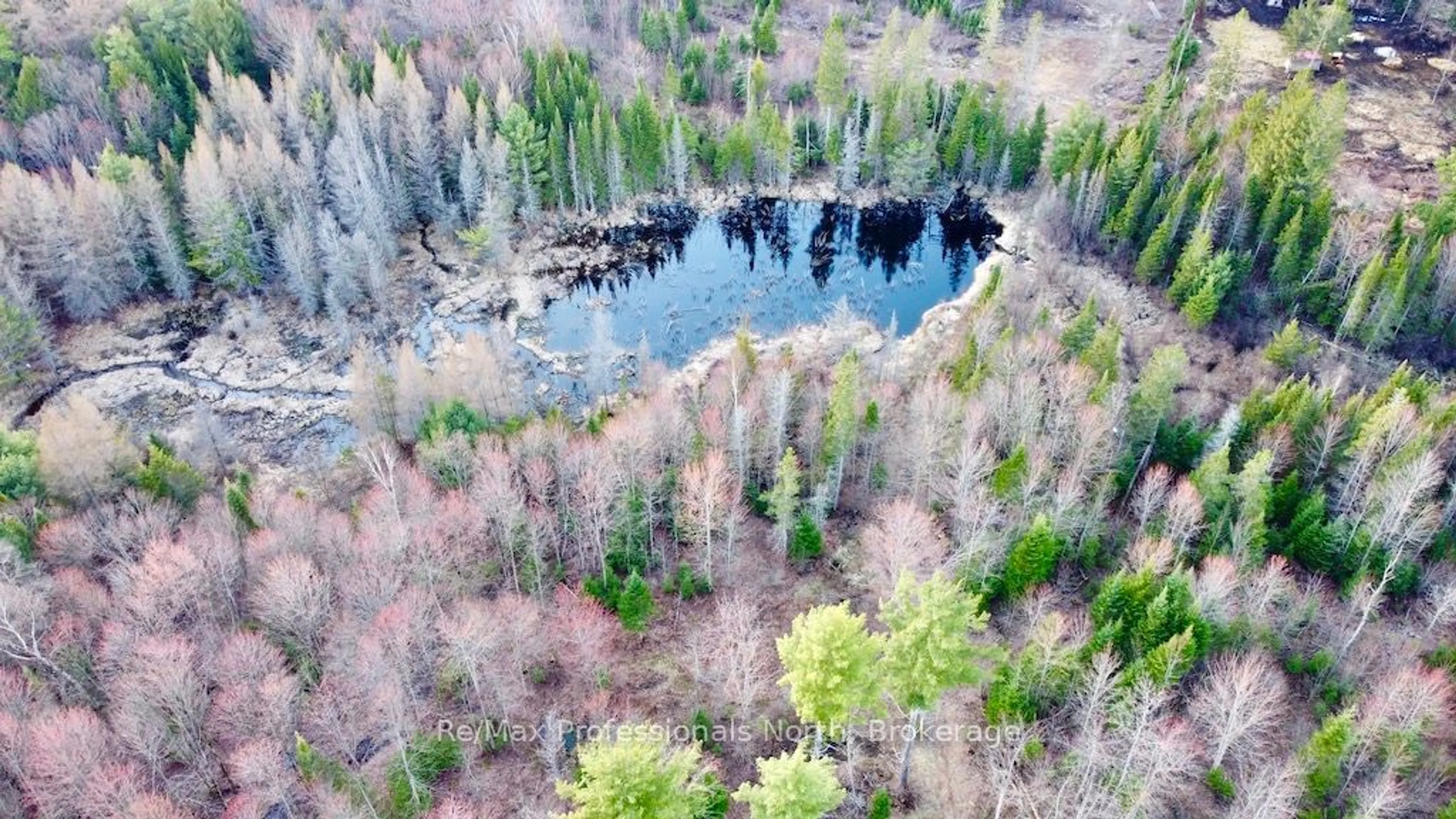 A pic from outside/outdoor area/front of a property/back of a property/a pic from drone, forest/trees view for 4177 County Road 121, Minden Hills Ontario K0M 2A0