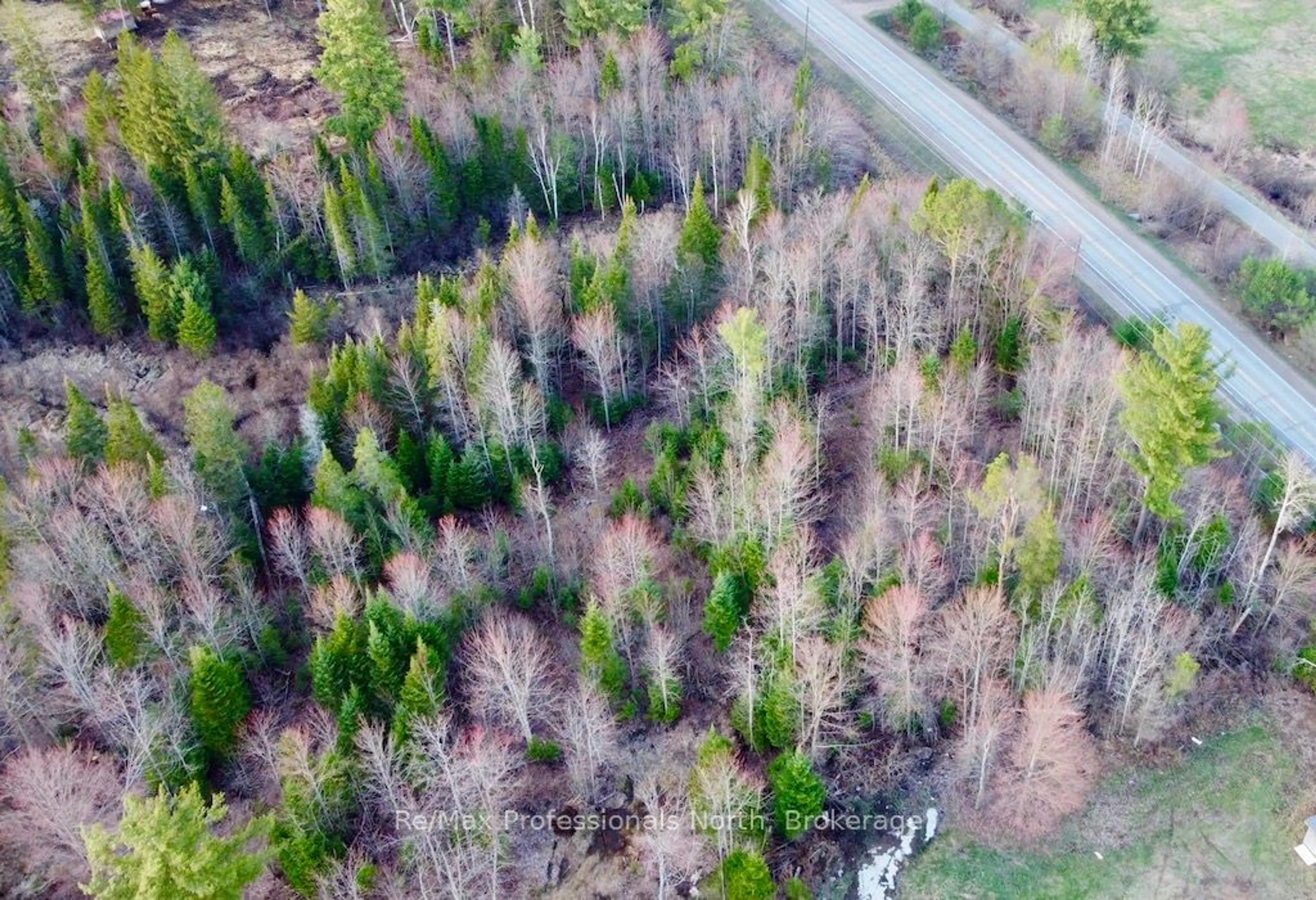 A pic from outside/outdoor area/front of a property/back of a property/a pic from drone, forest/trees view for 4177 County Road 121, Minden Hills Ontario K0M 2A0