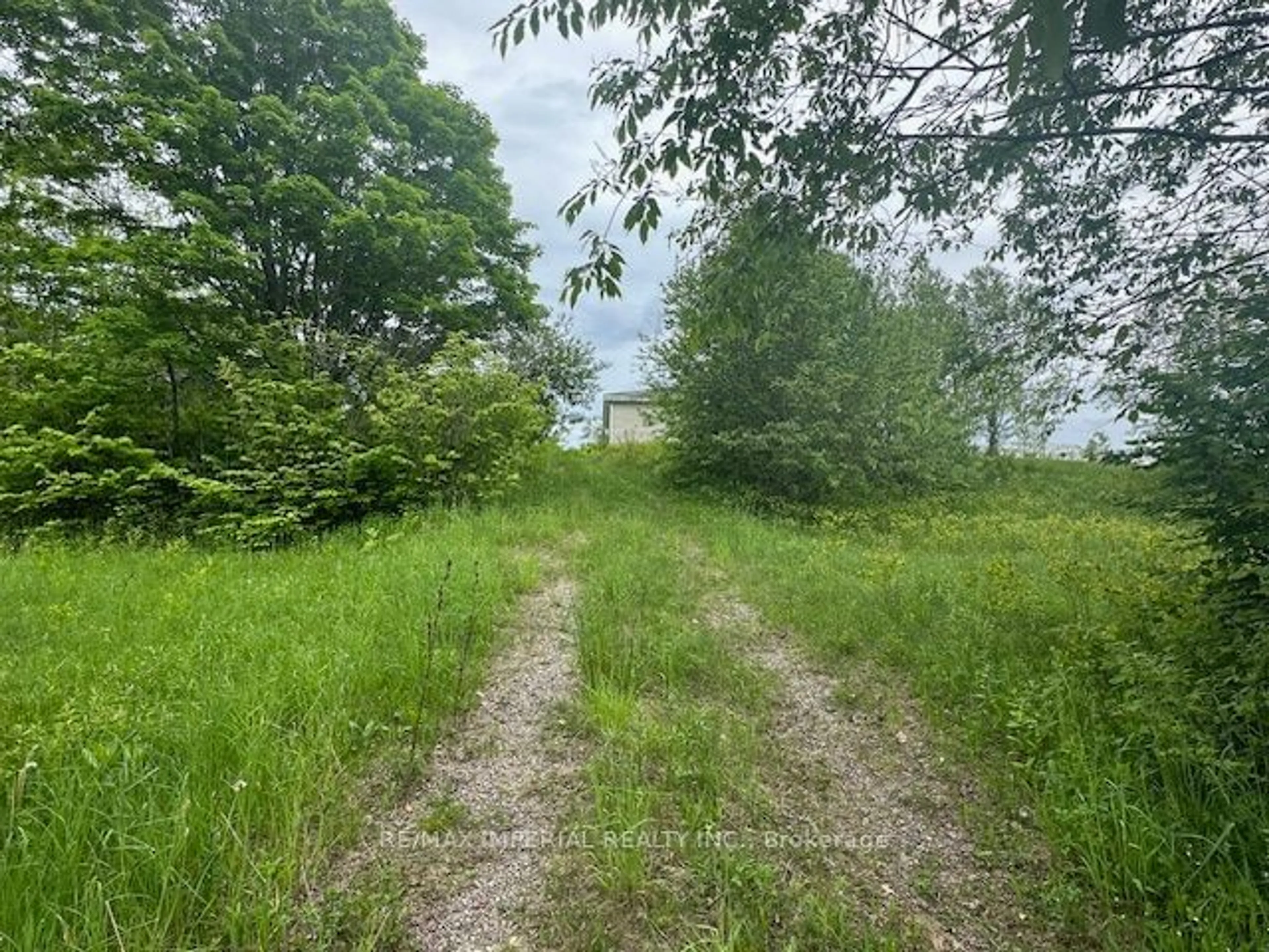 Shed for 309 Scott Line Rd, Hastings Highlands Ontario N3C 3Z6