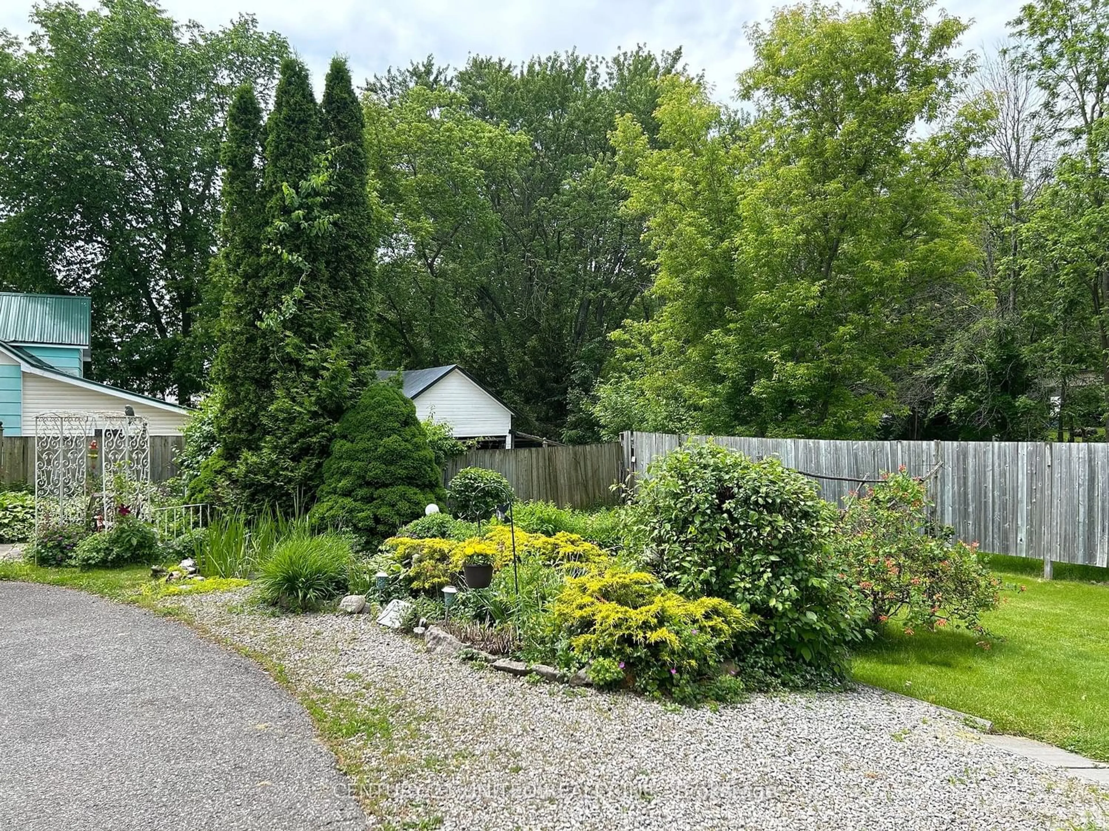 Fenced yard for 342 Grand Rd, Trent Hills Ontario K0L 1L0