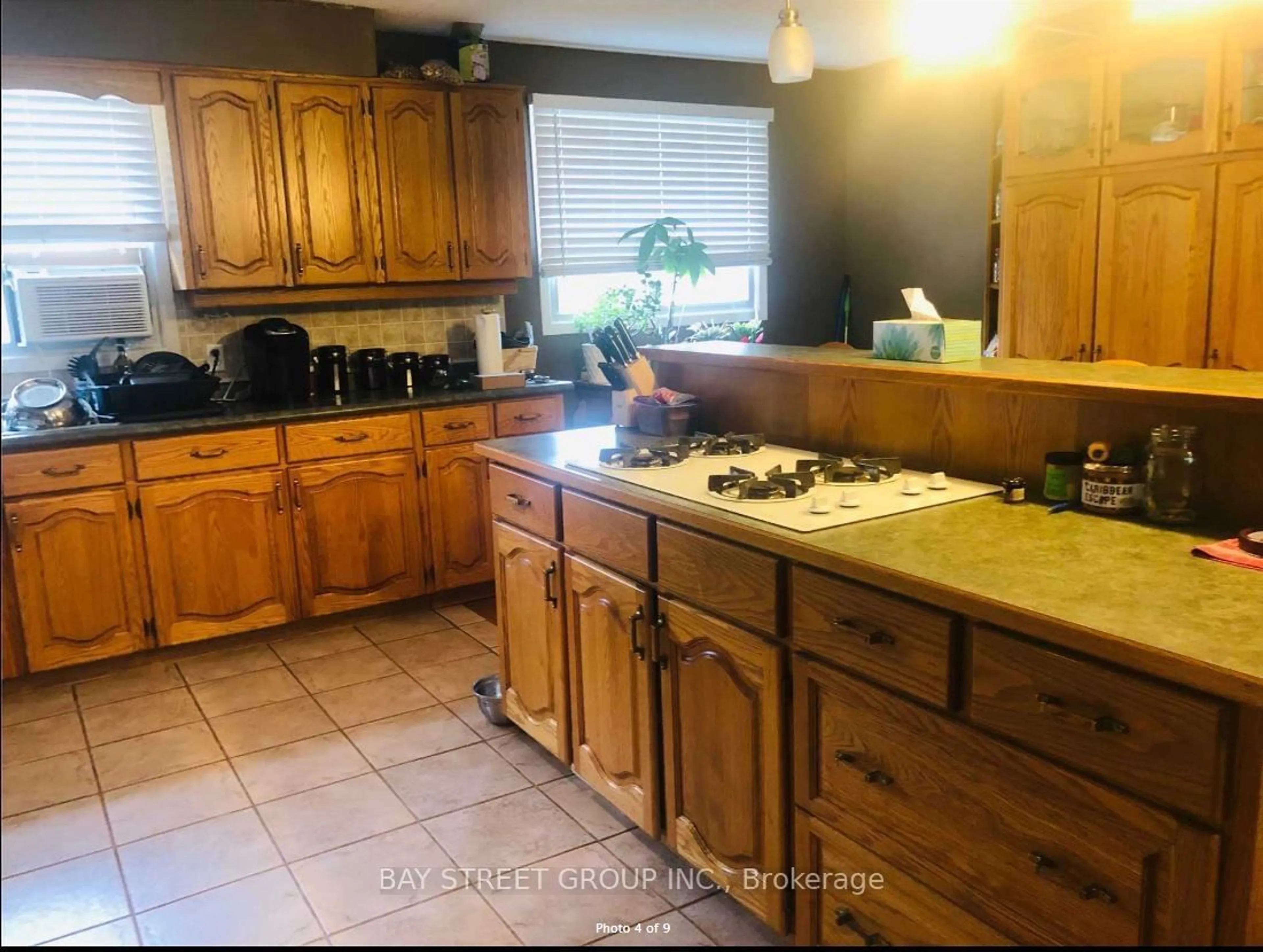 Standard kitchen for 309 Pineview Gdns, Shelburne Ontario L9V 3A2