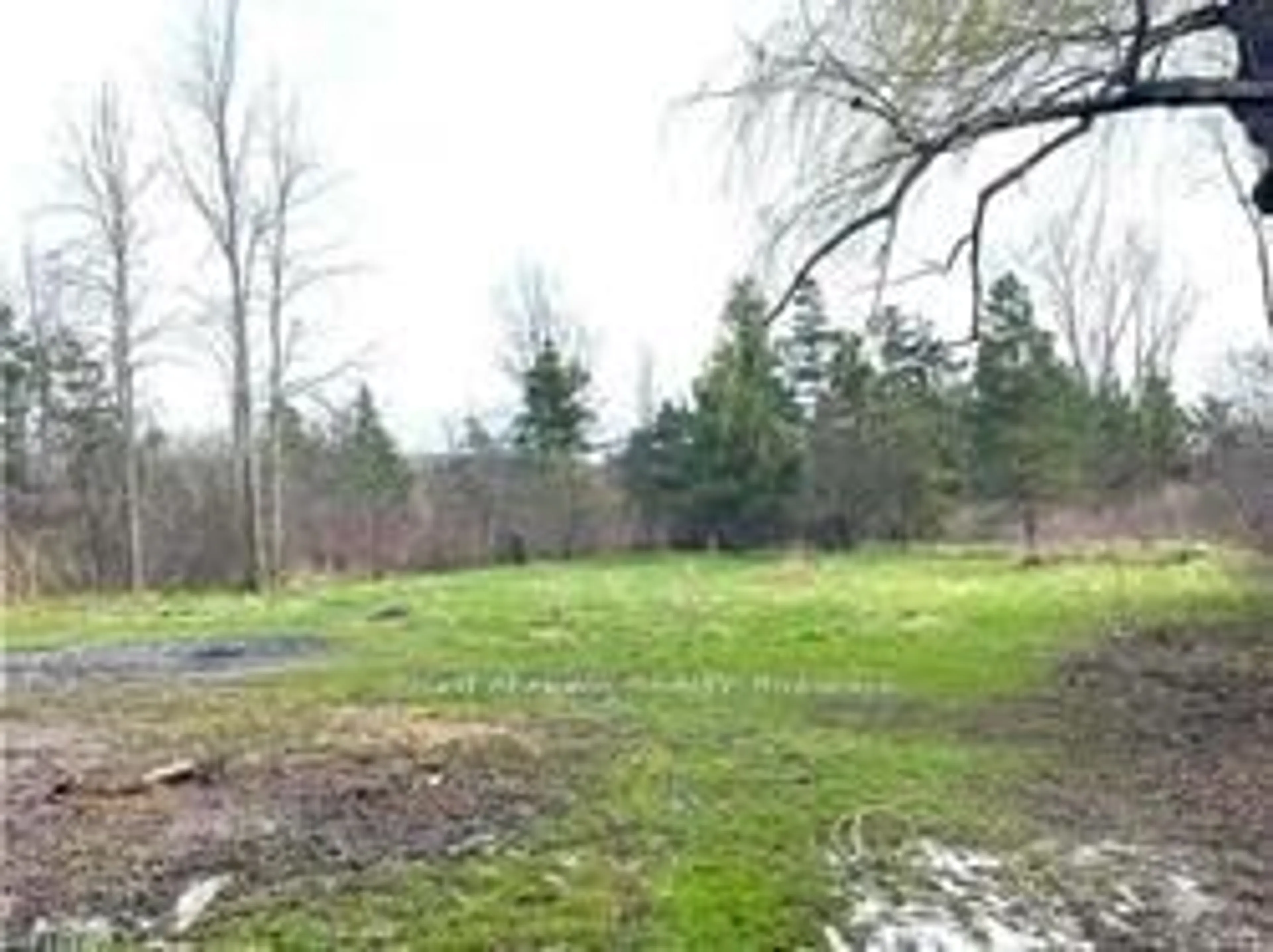 Fenced yard for 3545 Garrison Rd, Fort Erie Ontario L0S 1N0