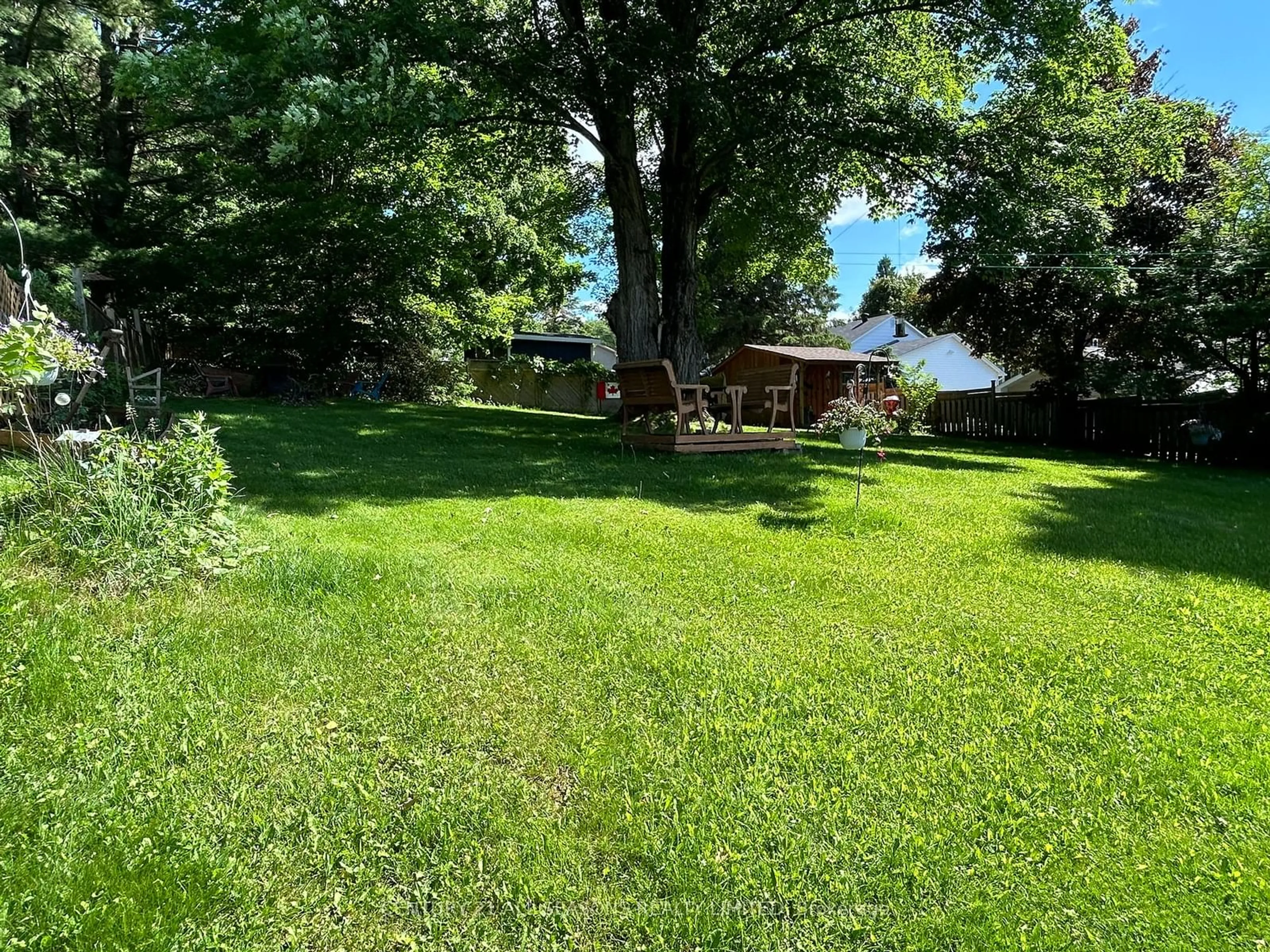 Frontside or backside of a home, the fenced backyard for 78 Maple St, Bancroft Ontario K0L 1C0