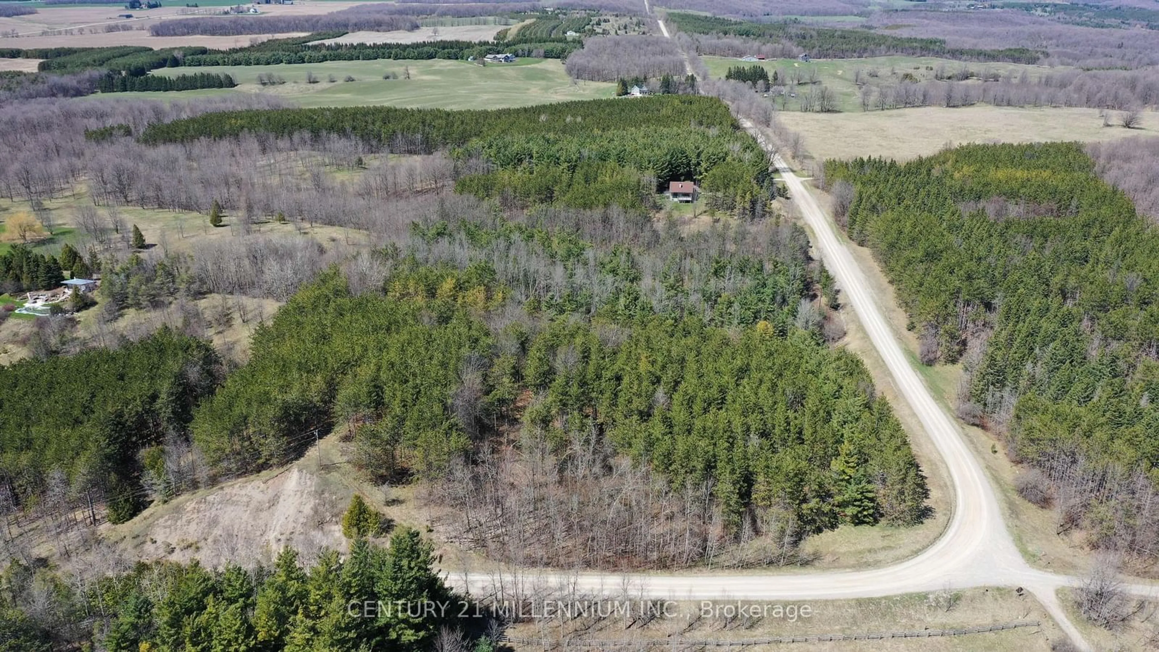 Forest view for 597334 2nd Line, Mulmur Ontario L9V 0B4