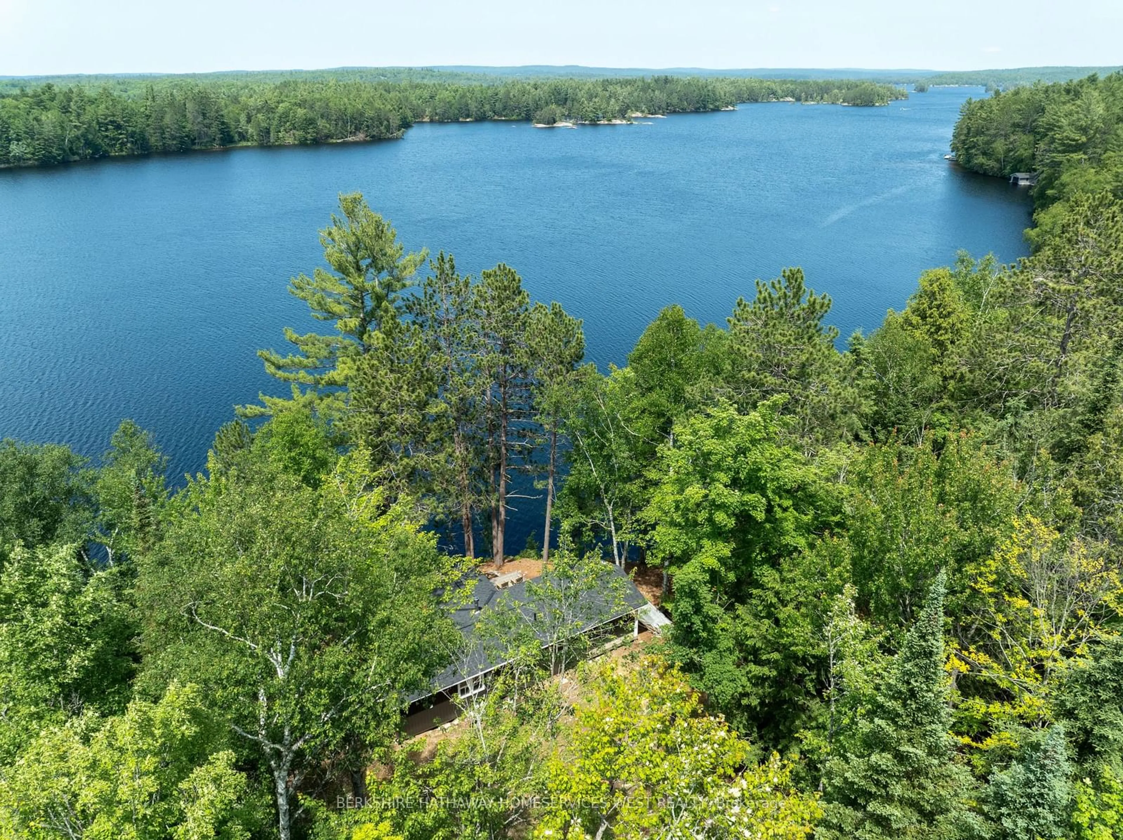 Forest view for 625 Weslemkoon Lake, Addington Highlands Ontario K0L 1W0