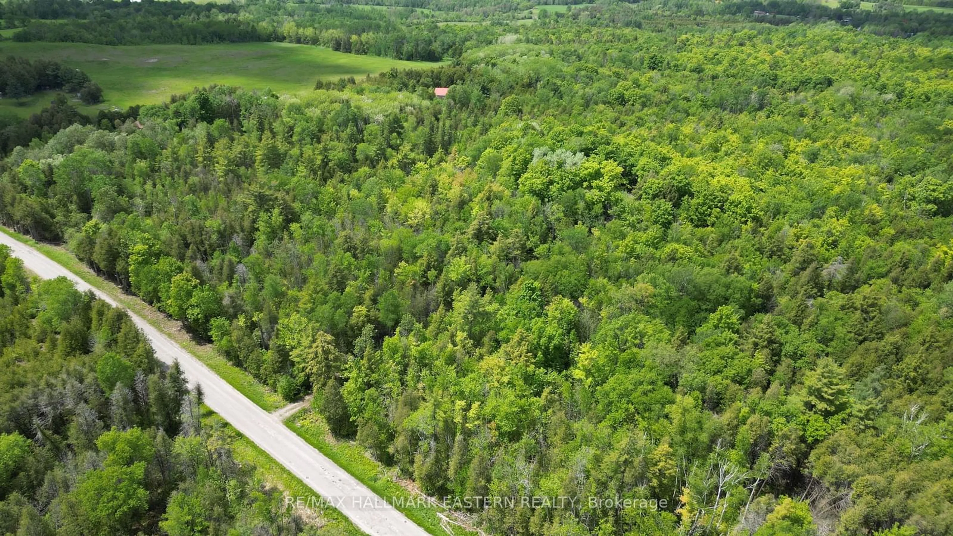 Forest view for 664 Syer Line, Cavan Monaghan Ontario K0L 1V0