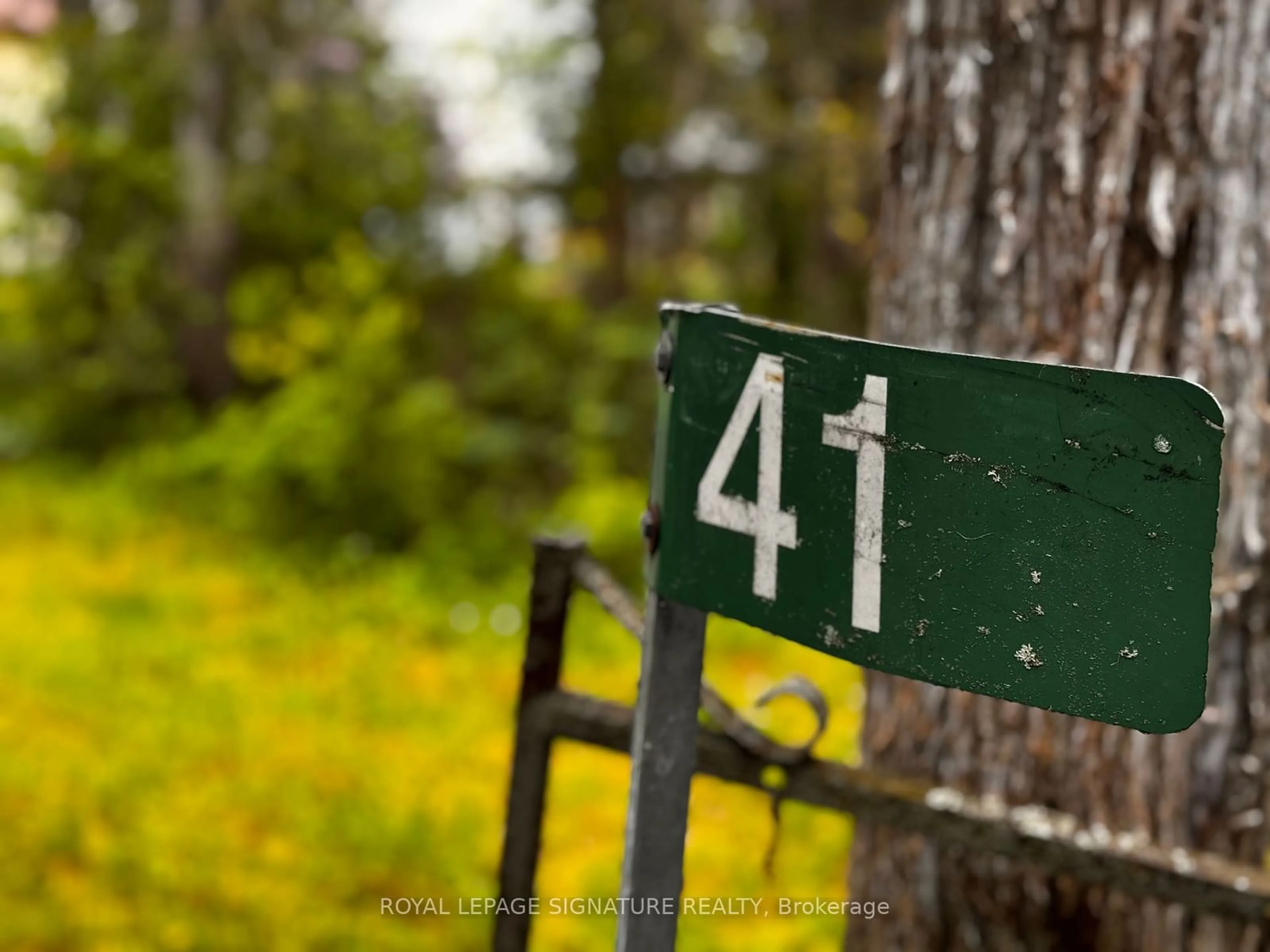 Street view for 41 Back Lane, Prince Edward County Ontario K0K 2P0