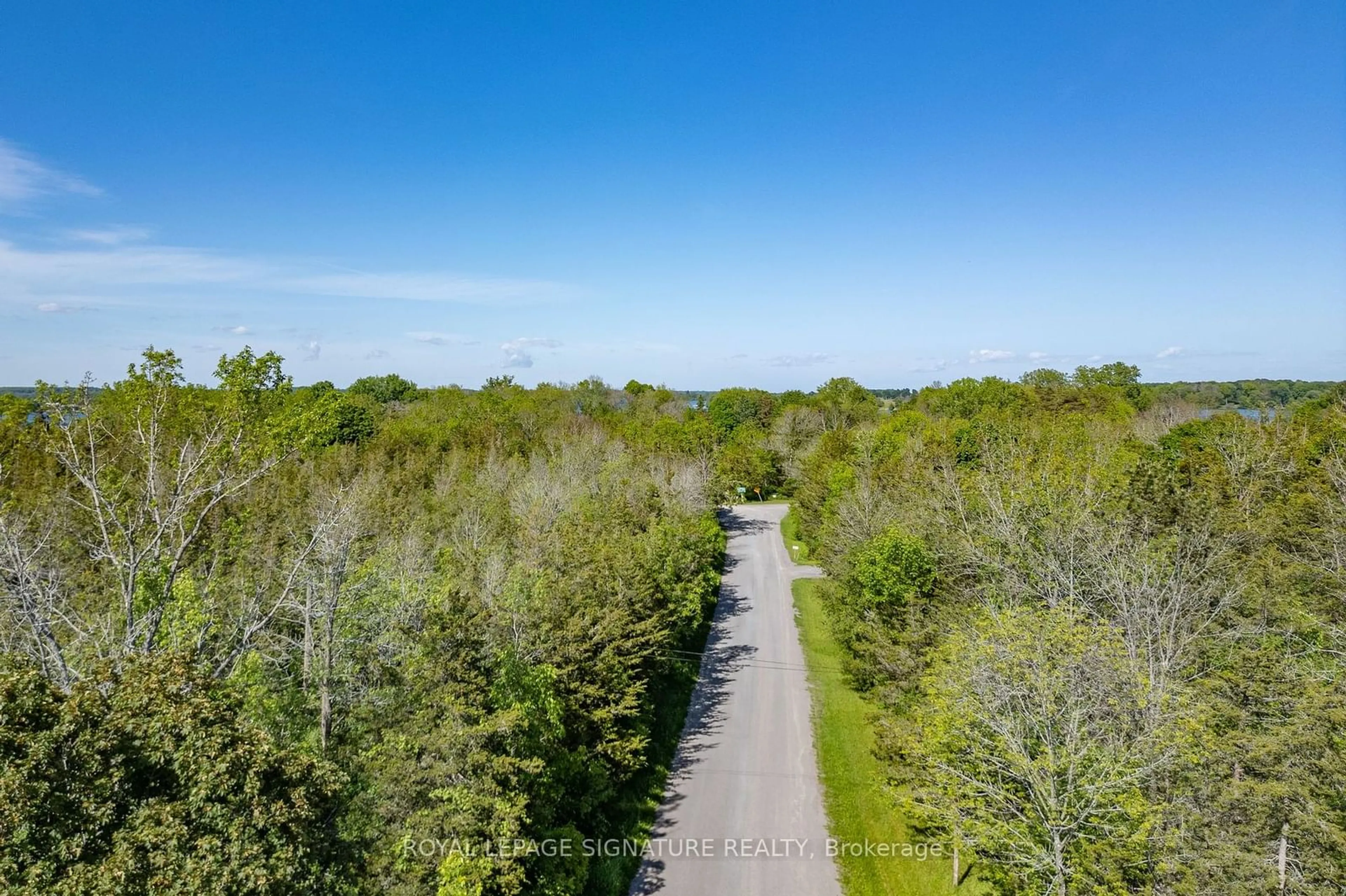 Forest view for 41 Back Lane, Prince Edward County Ontario K0K 2P0