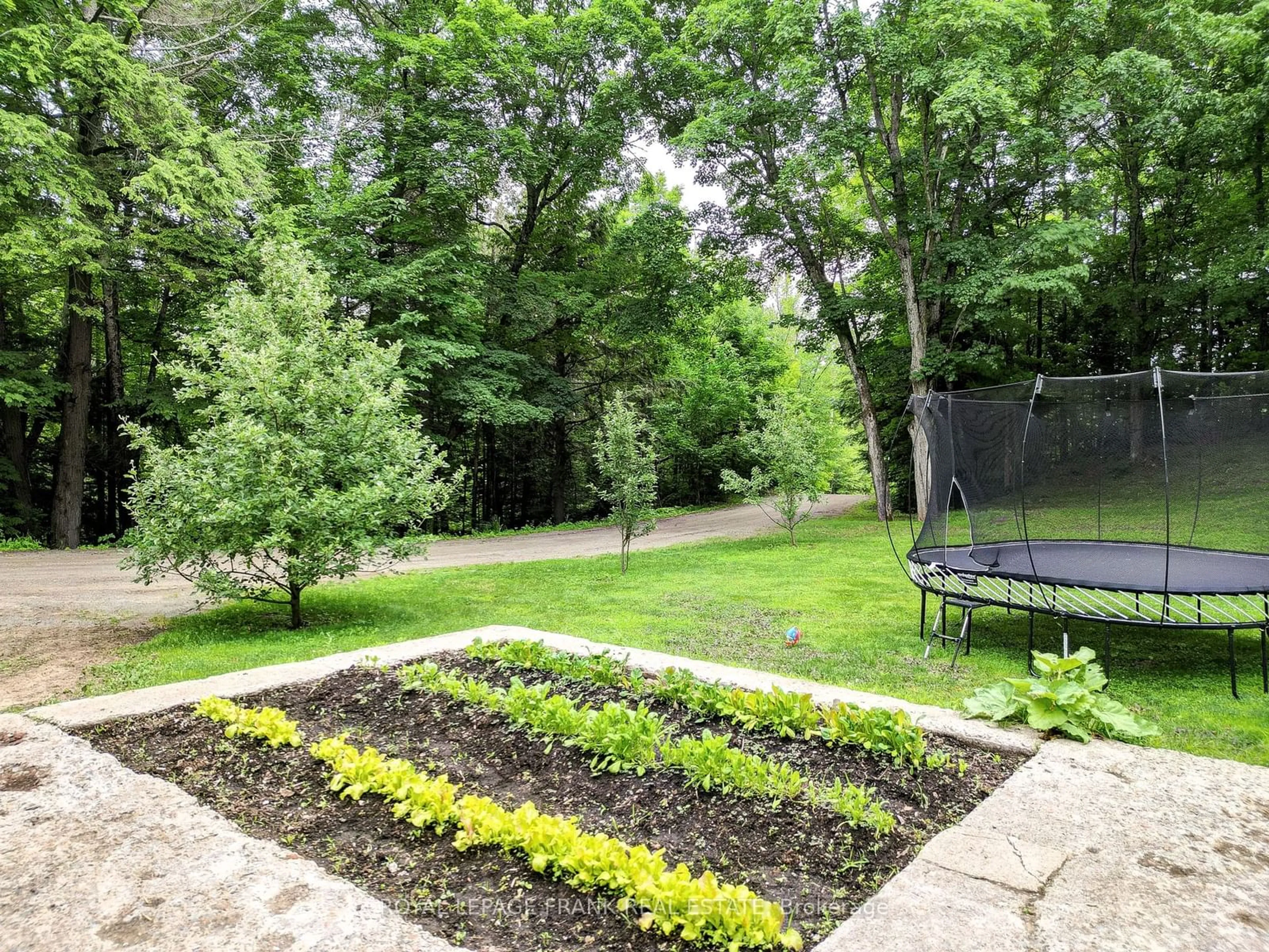 Fenced yard for 121 Montgomery Rd, North Kawartha Ontario K0L 1A0