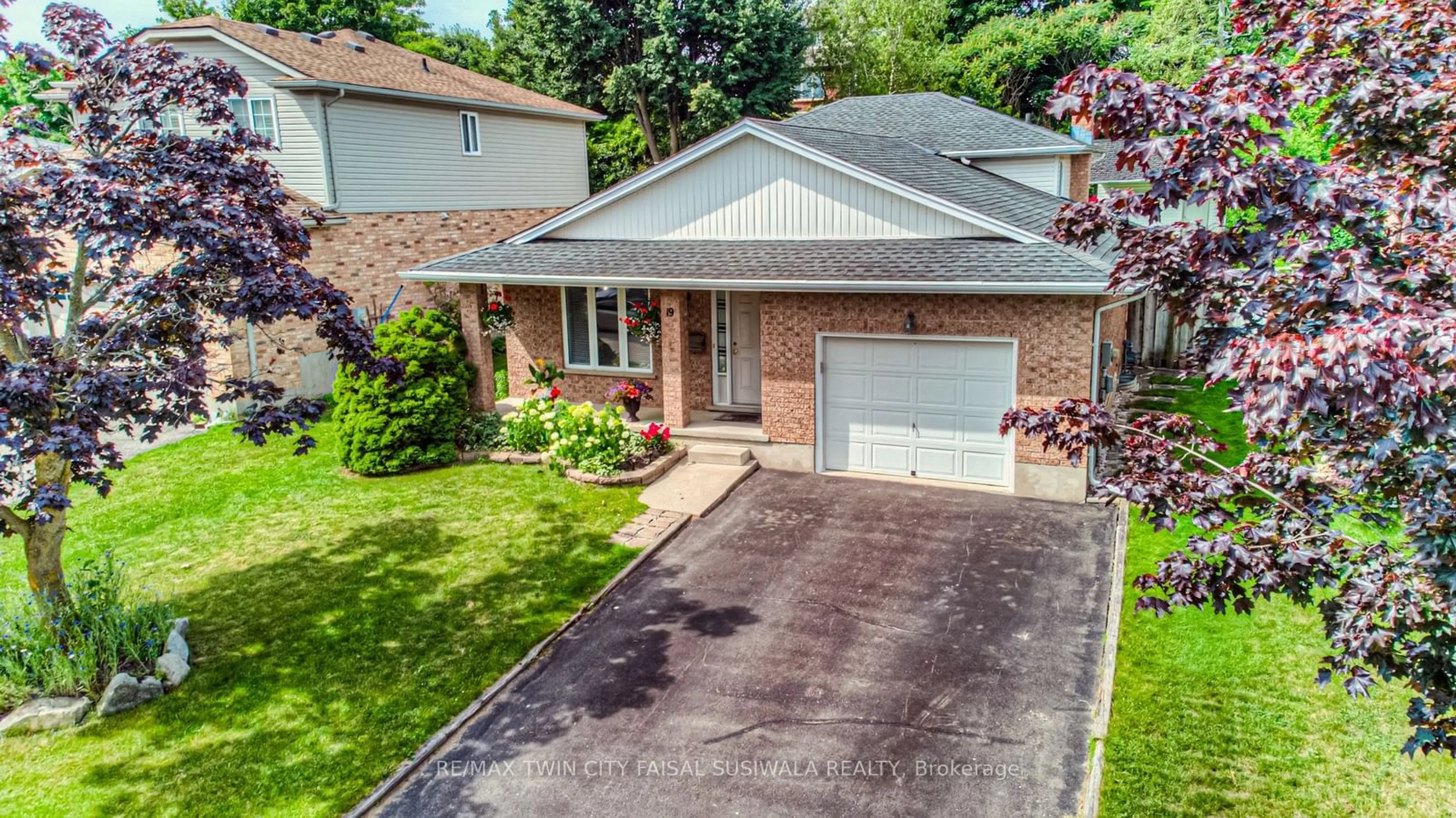 Frontside or backside of a home for 19 Tami Crt, Kitchener Ontario N2B 3V2