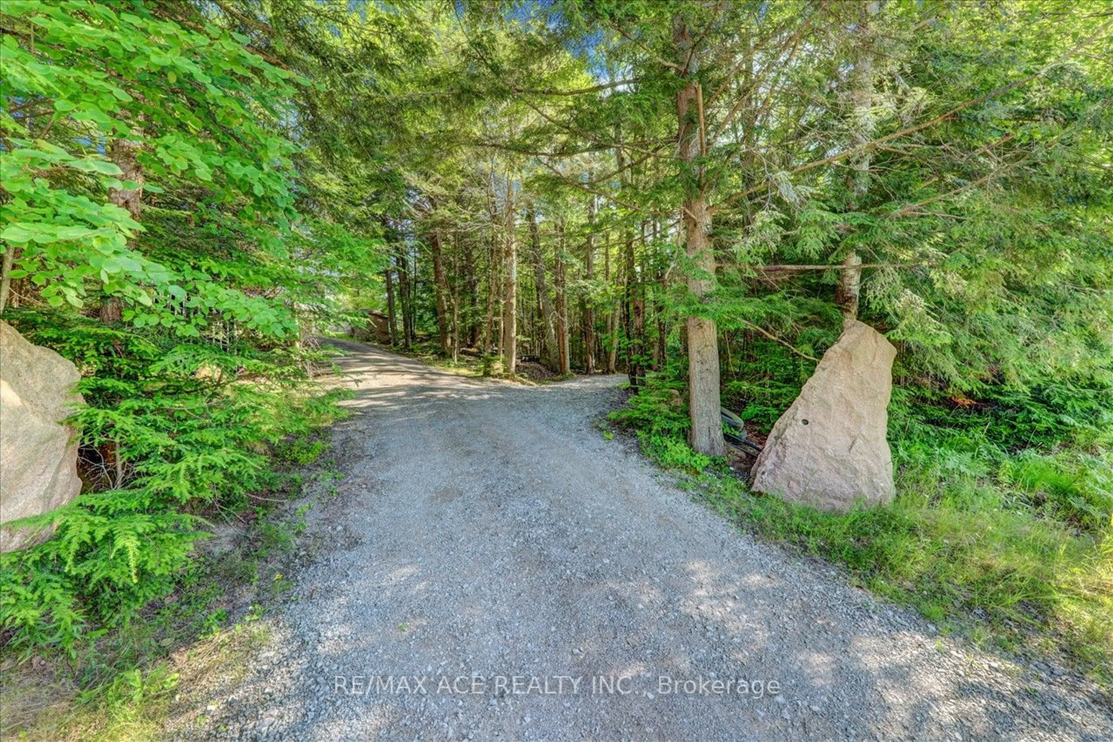 Forest view for 119 Gazelle Tr, North Kawartha Ontario K0L 1A0