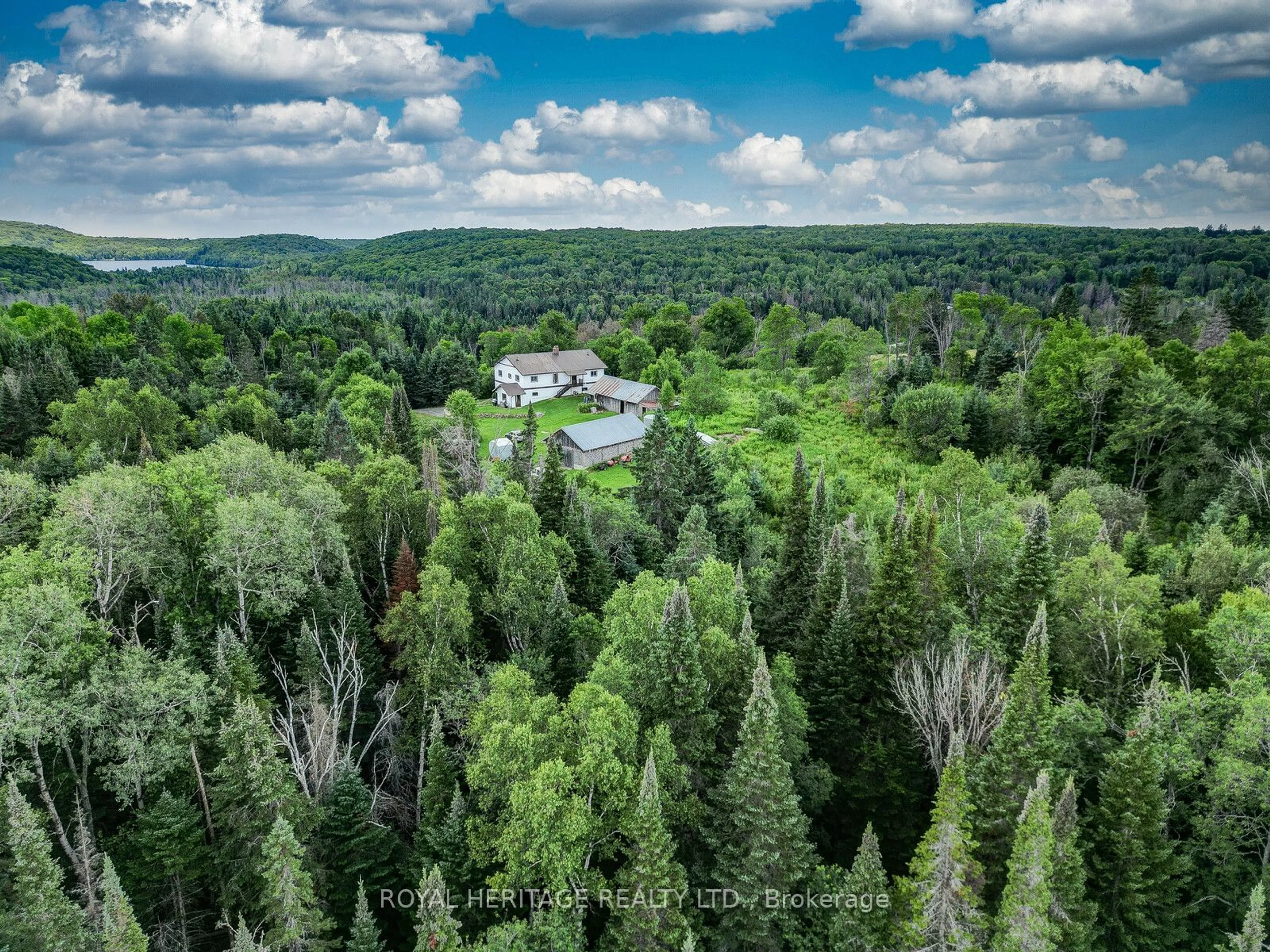 Forest view for 1394 Airport Rd #A & B, Hastings Highlands Ontario K0L 1C0