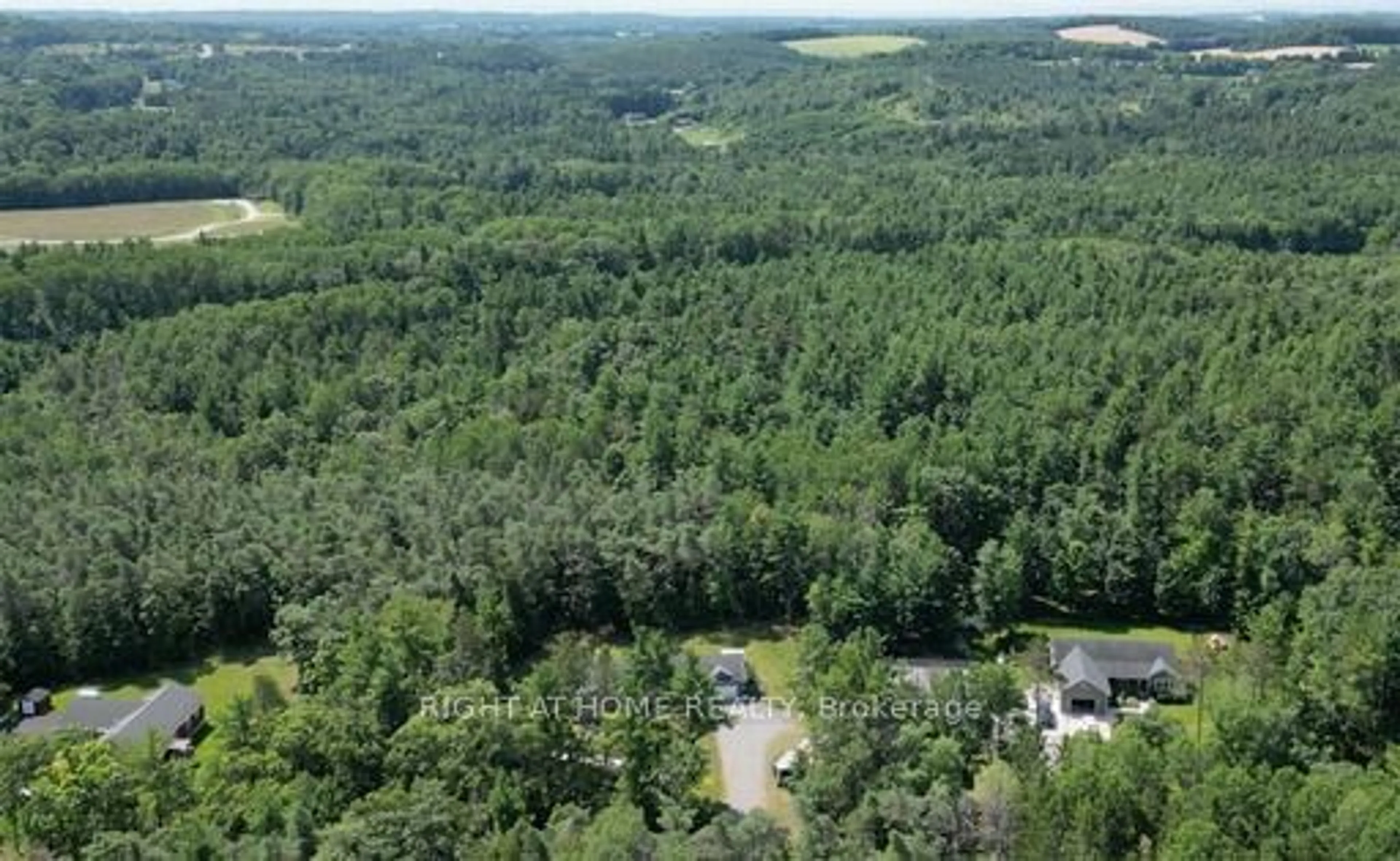 Forest view for 549 Turk Rd, Alnwick/Haldimand Ontario K0K 2G0