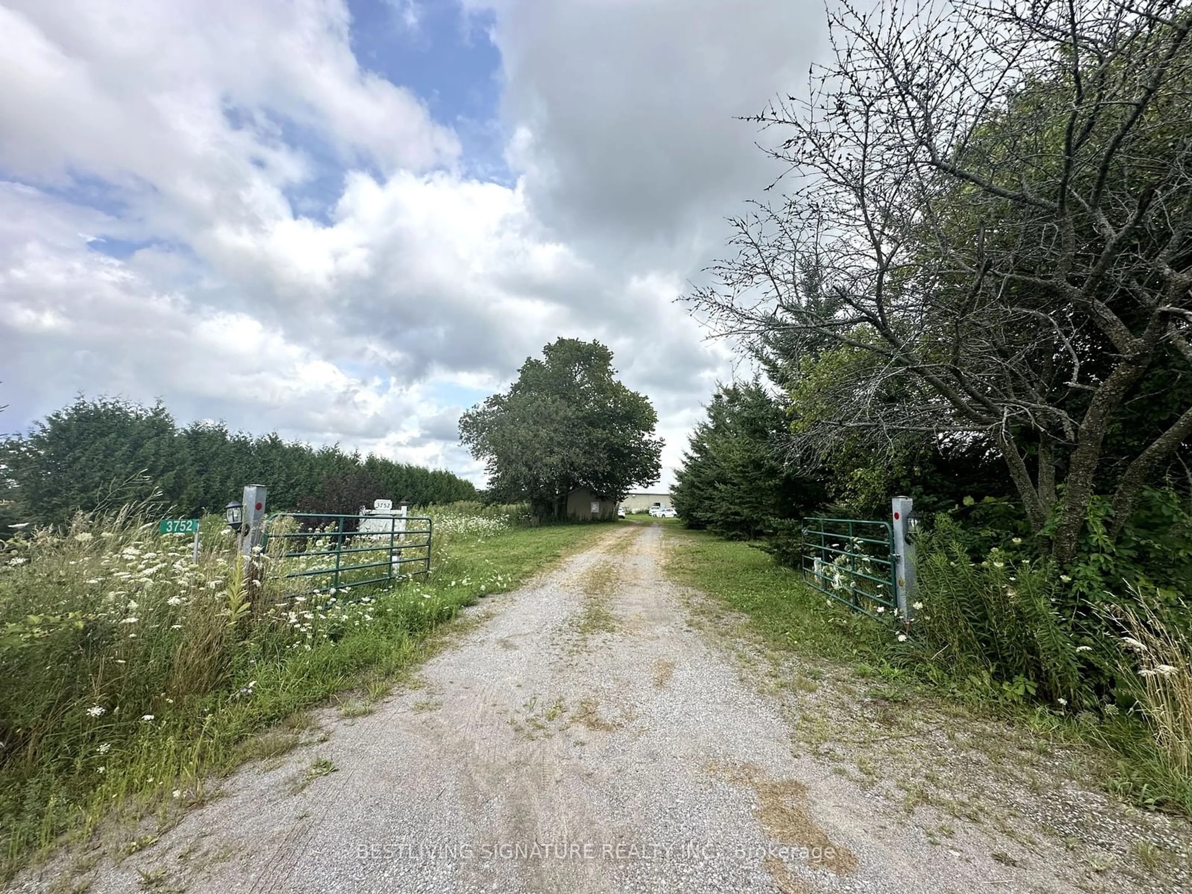 Street view for 3752 Elm Tree Rd, Kawartha Lakes Ontario K0M 2B0