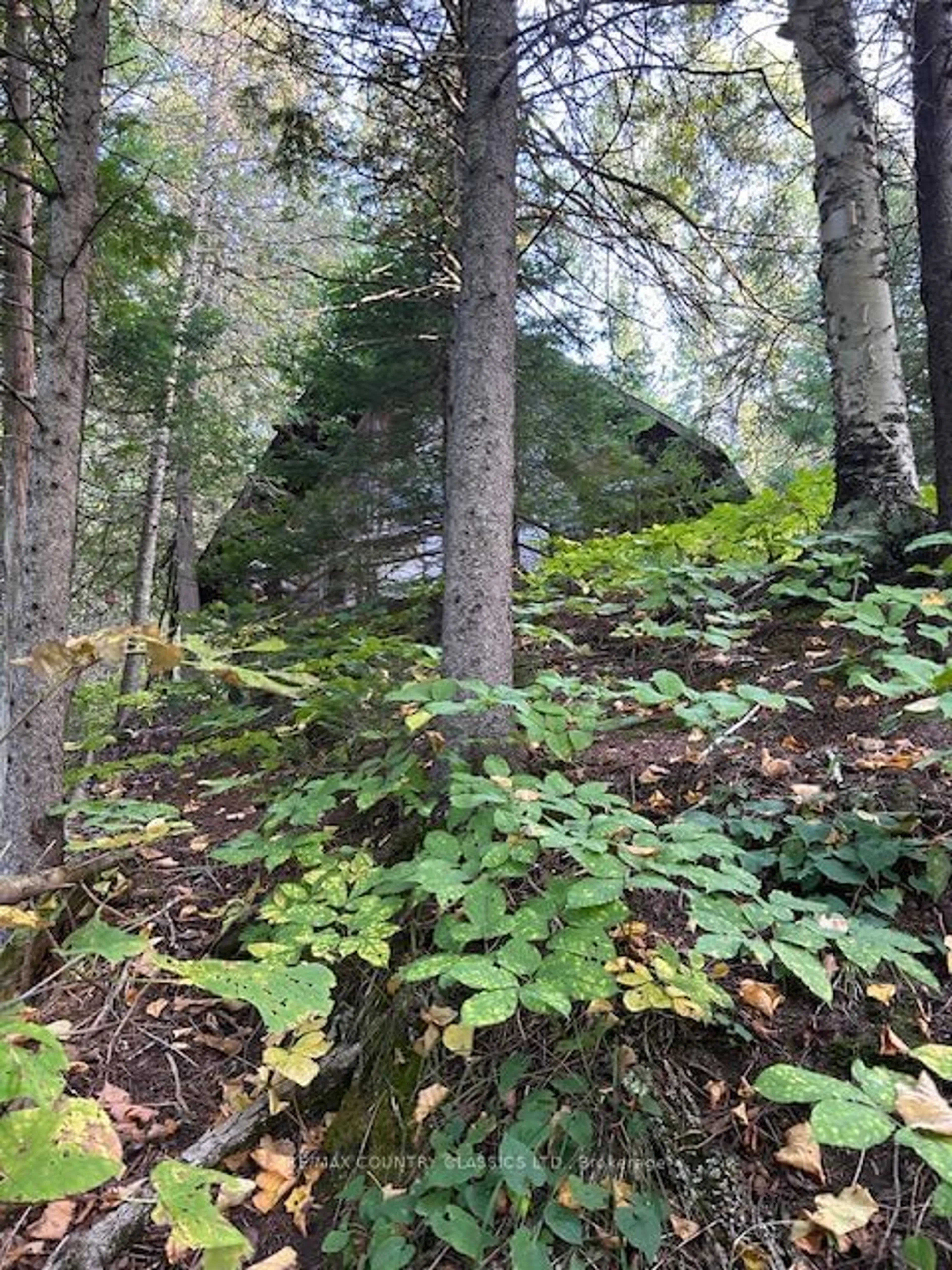 A pic of a room, unknown floor for 0000 Madawaska (York) River, Bancroft Ontario K0L 1C0