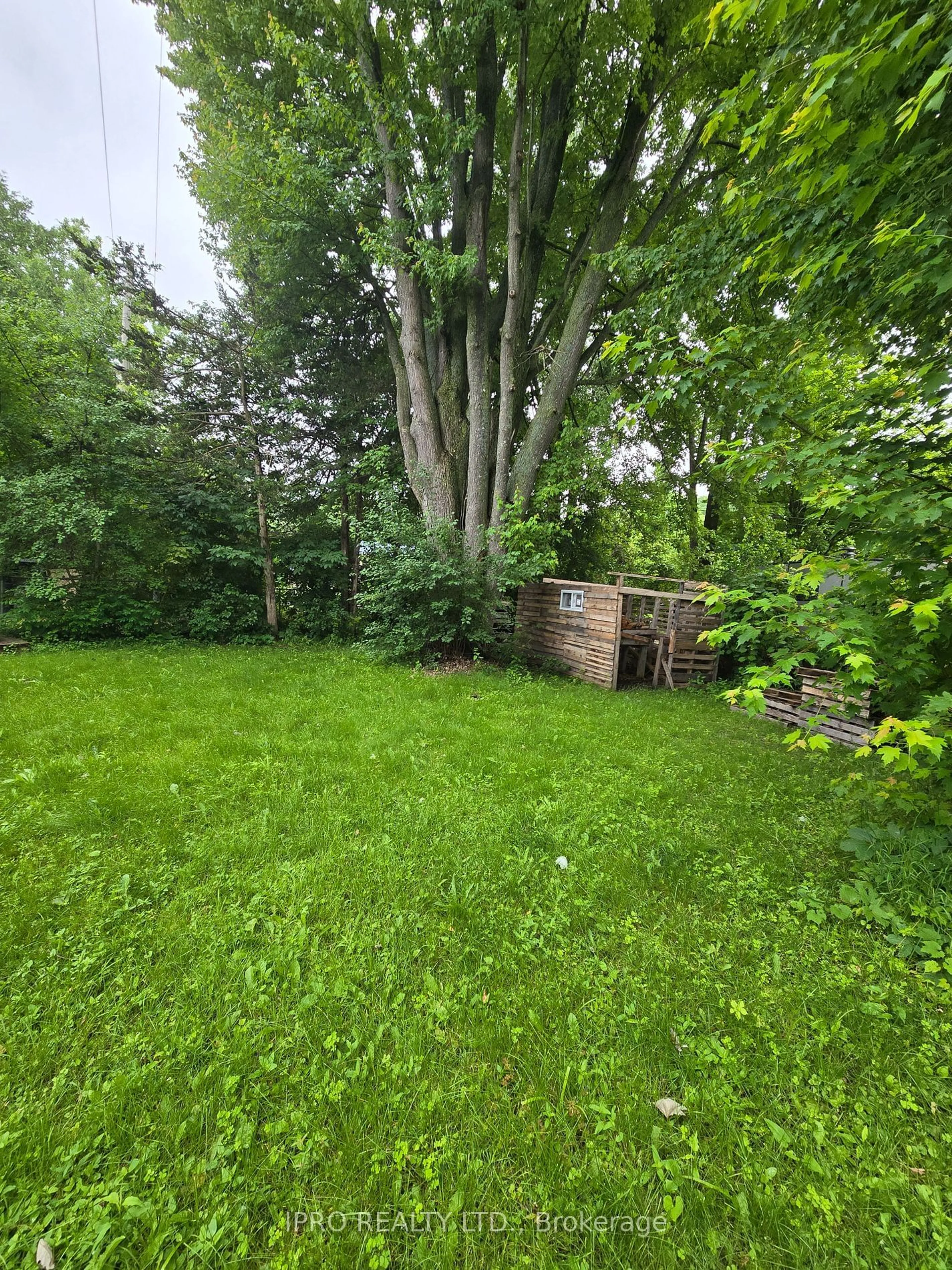 A pic from outside/outdoor area/front of a property/back of a property/a pic from drone, forest/trees view for 7 Cooke Armstrong Rd, Quinte West Ontario K0K 2C0