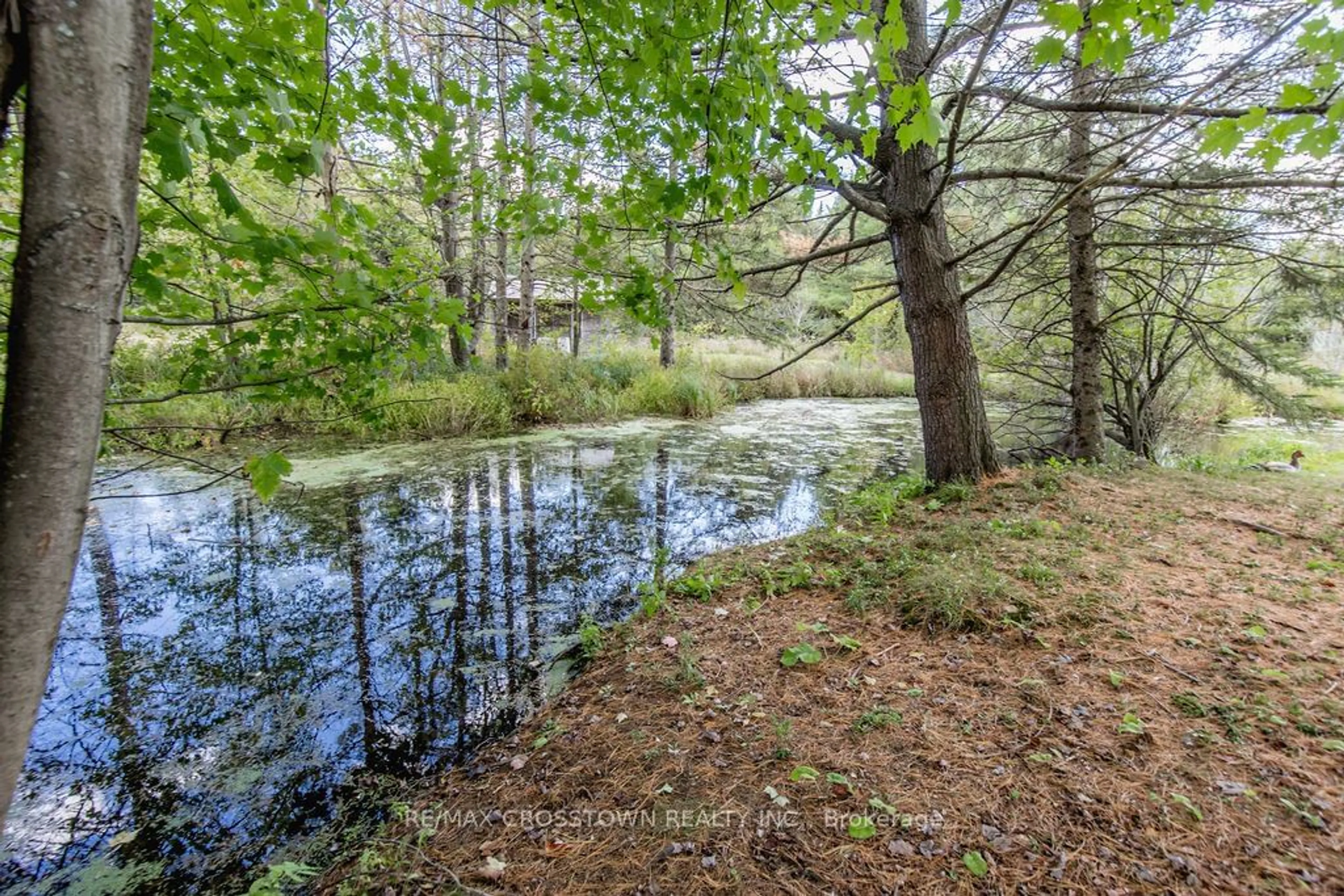 Indoor or outdoor pool for 776 Monck Rd, Kawartha Lakes Ontario L0K 1W0