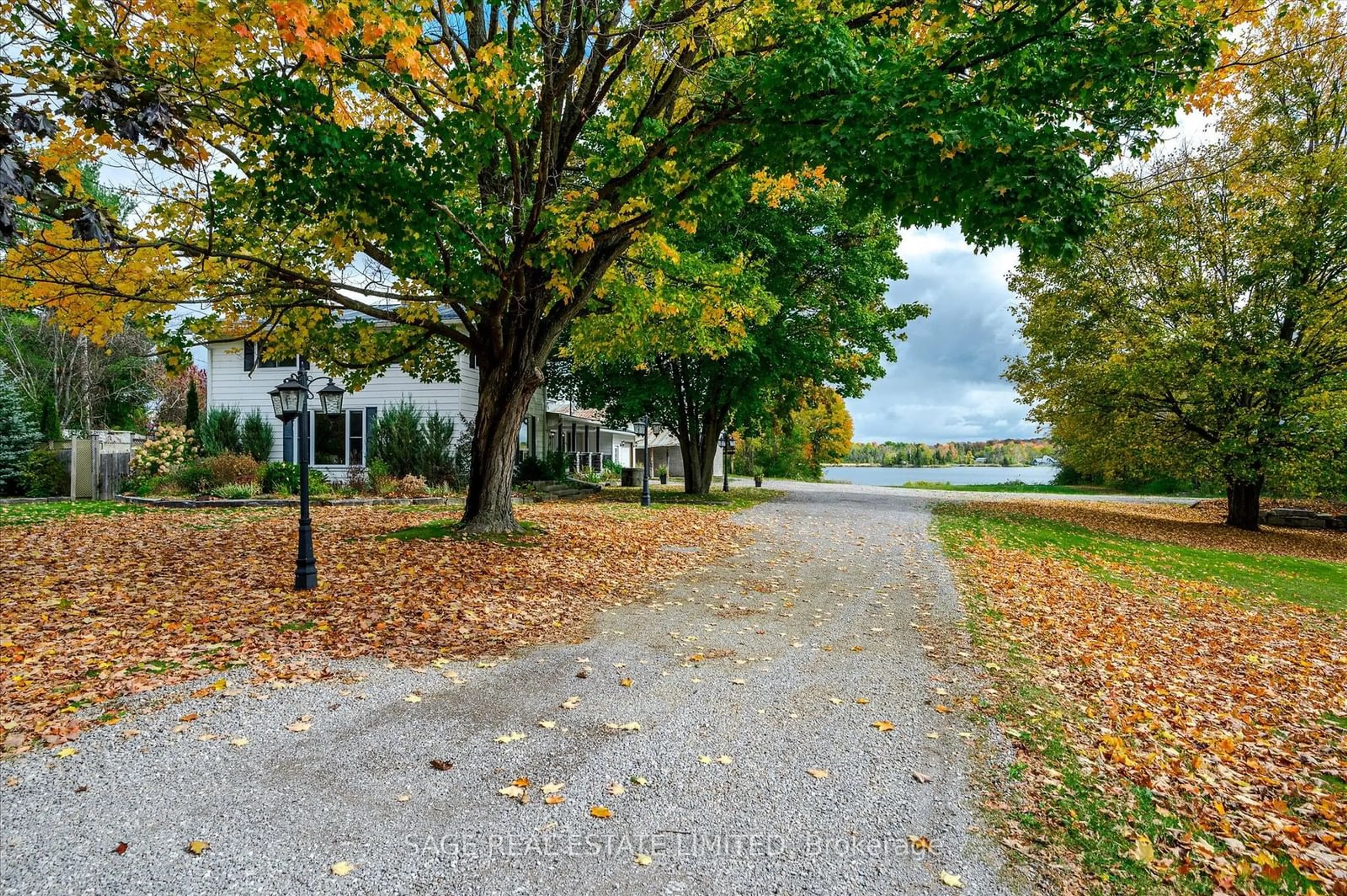 Patio, the street view for 510 County Road 36, Galway-Cavendish and Harvey Ontario K0M 1A0