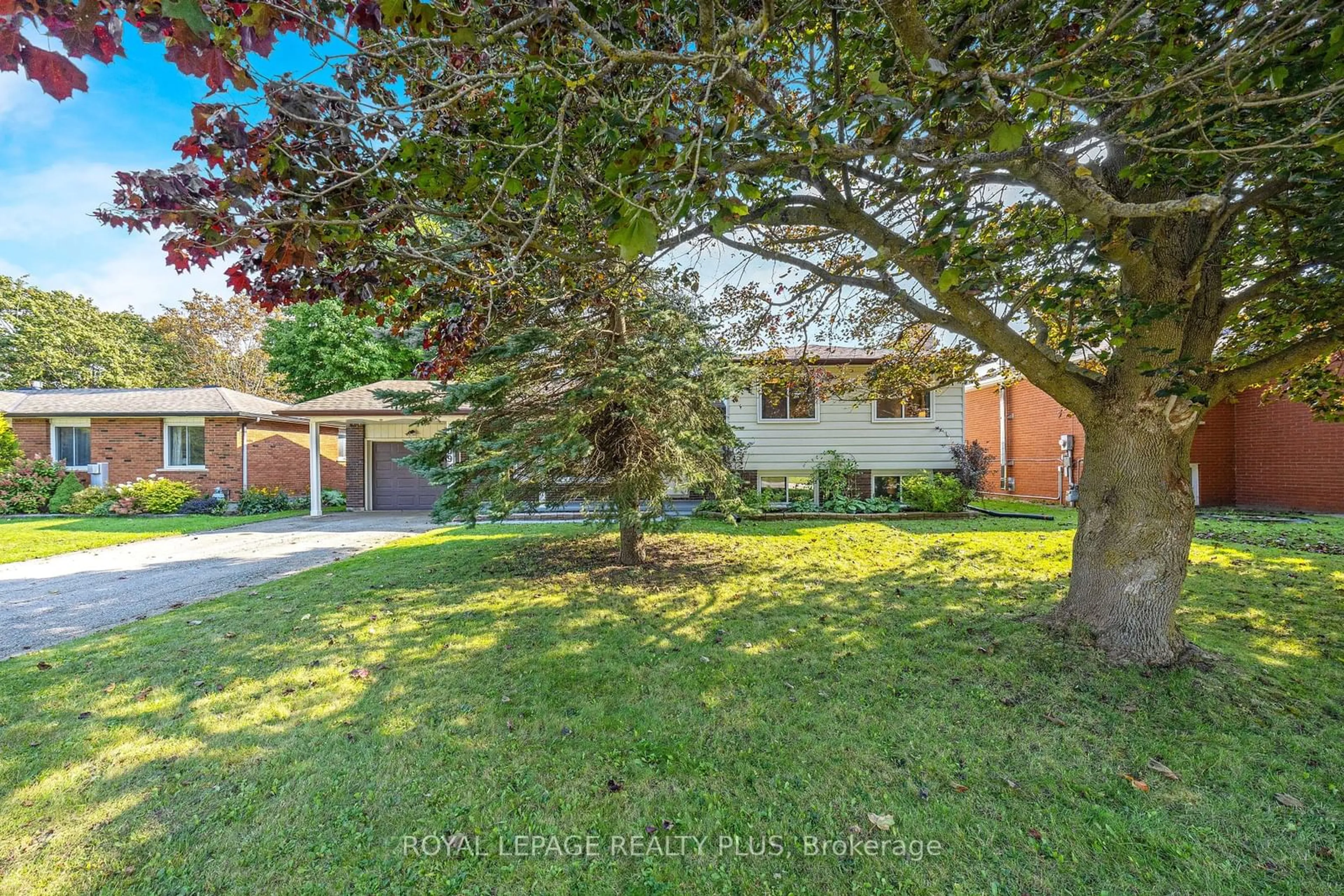 Frontside or backside of a home, the fenced backyard for 309 Greenwood St, Shelburne Ontario L9V 2Z6