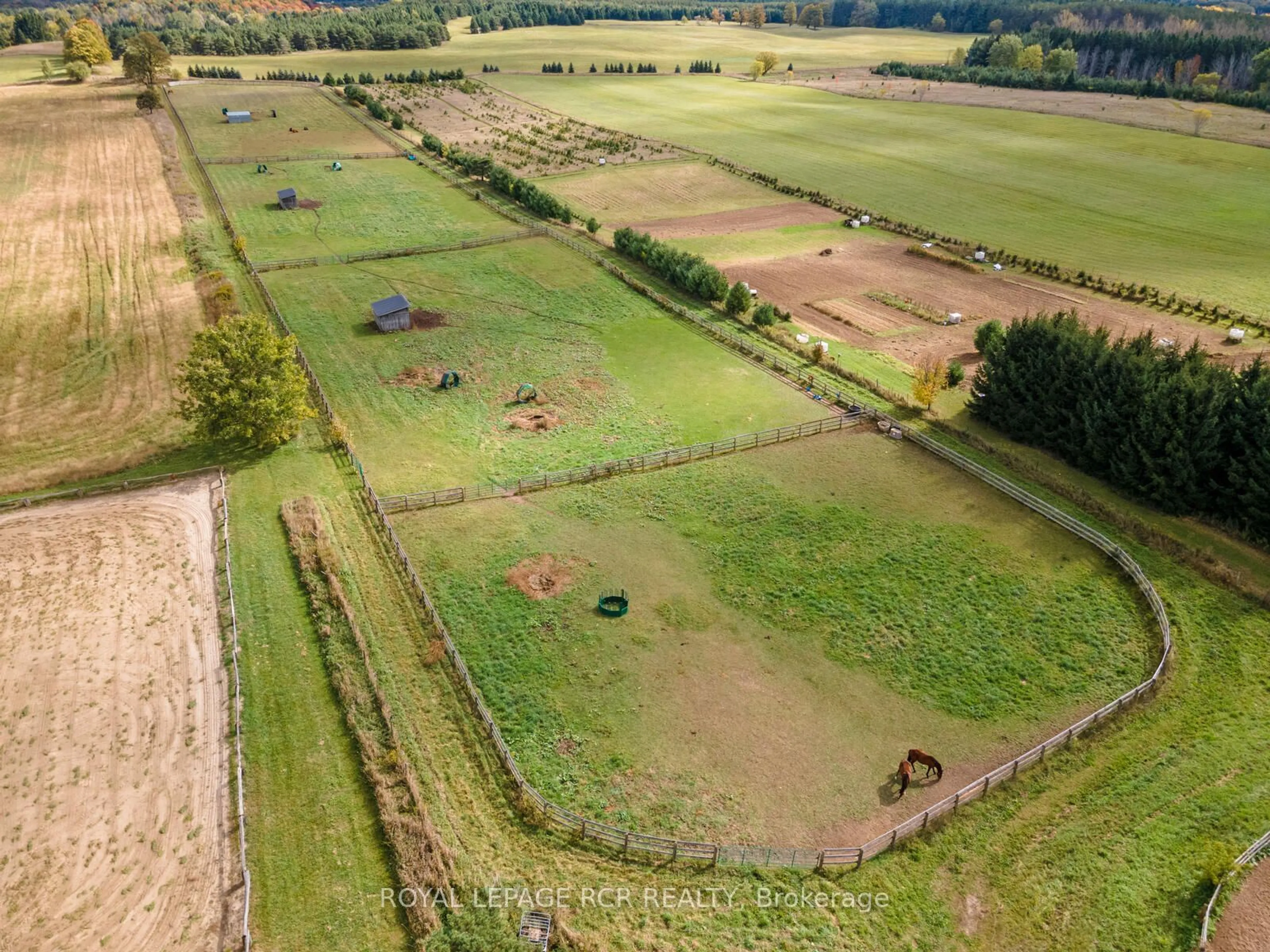 A pic from outside/outdoor area/front of a property/back of a property/a pic from drone, forest/trees view for 953371 7th Line, Mono Ontario L9W 6E8