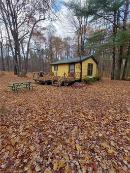 history photo preview