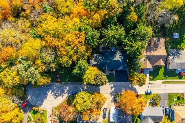 Additional property image - 64 Nelson St