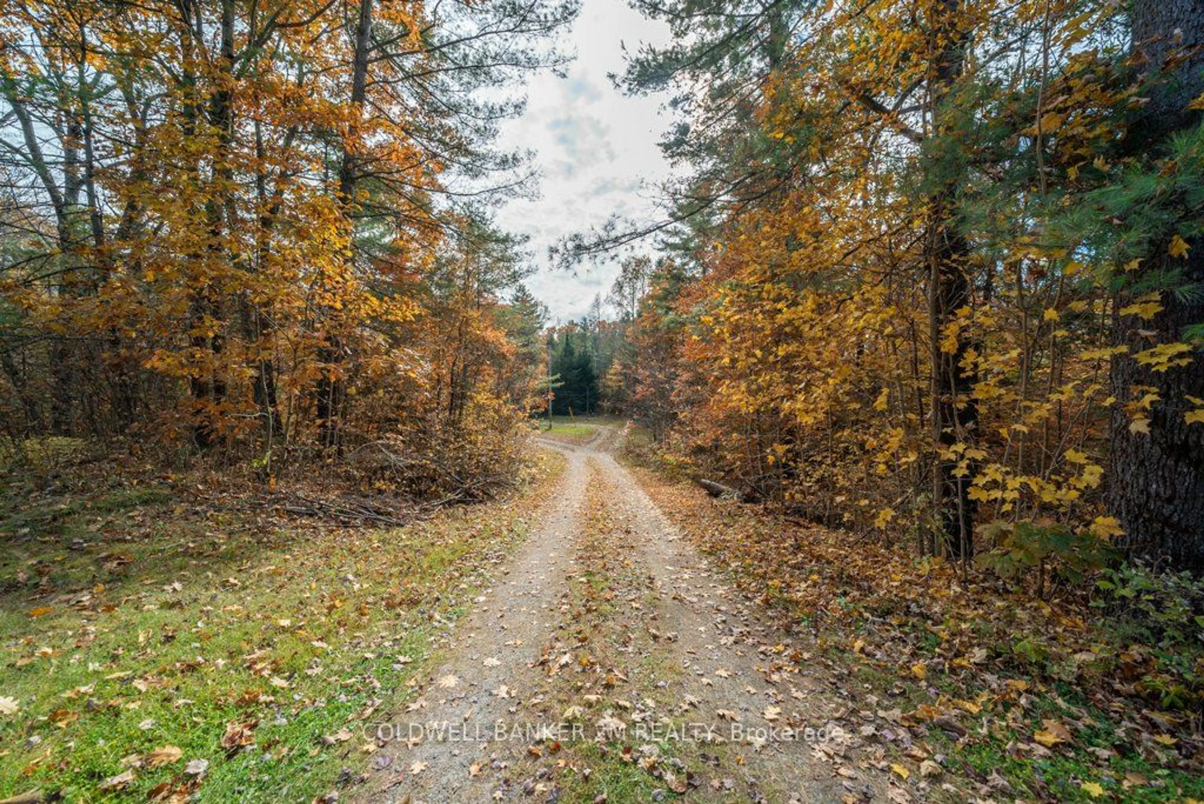 Patio, forest for 190 Jacques Bay Rd, Addington Highlands Ontario K0H 1K0