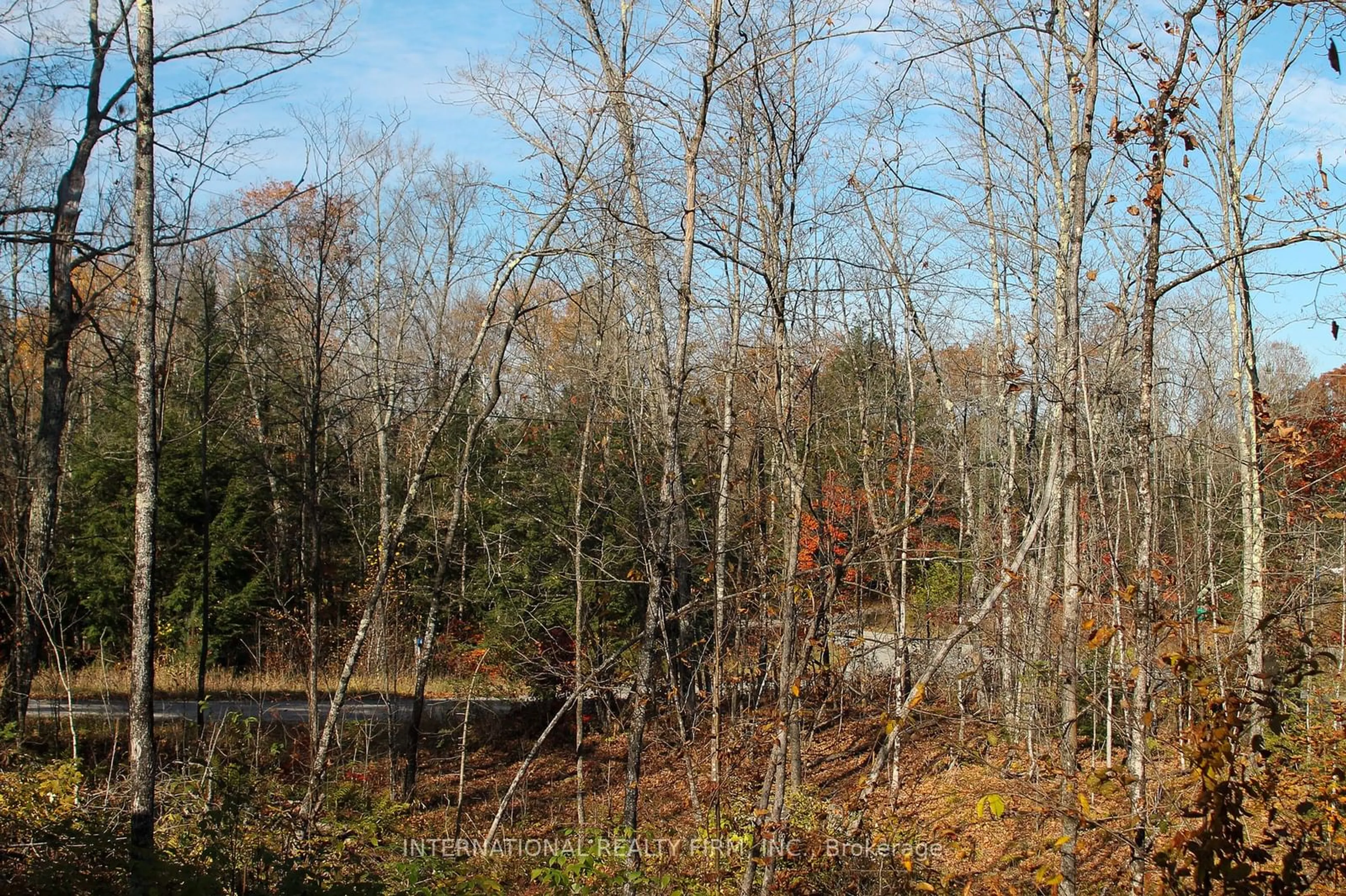 A pic of a room, not visible floor for 13 CLEAR LAKE Crt, Marmora and Lake Ontario K0L 1W0